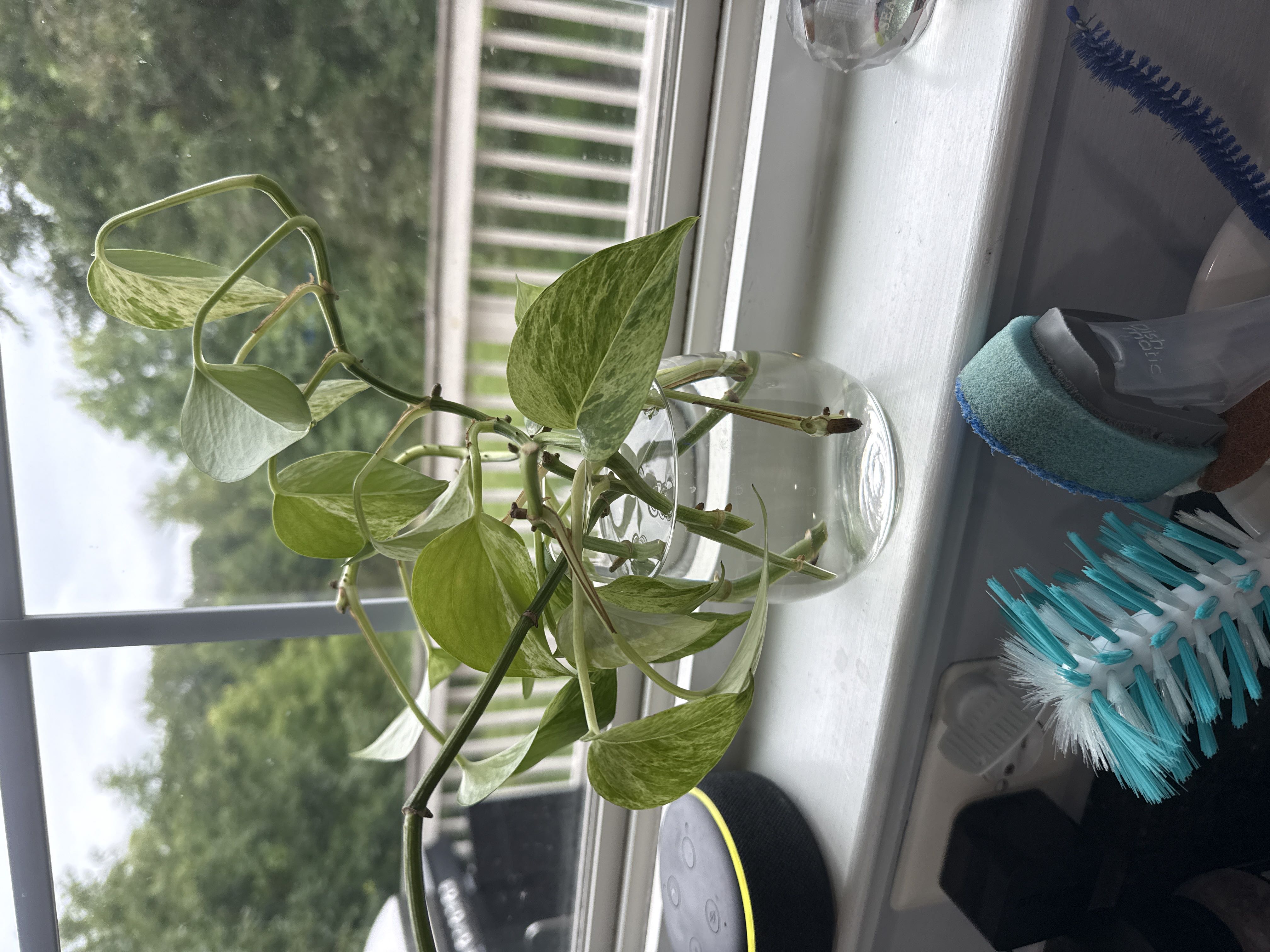 Photo from the post