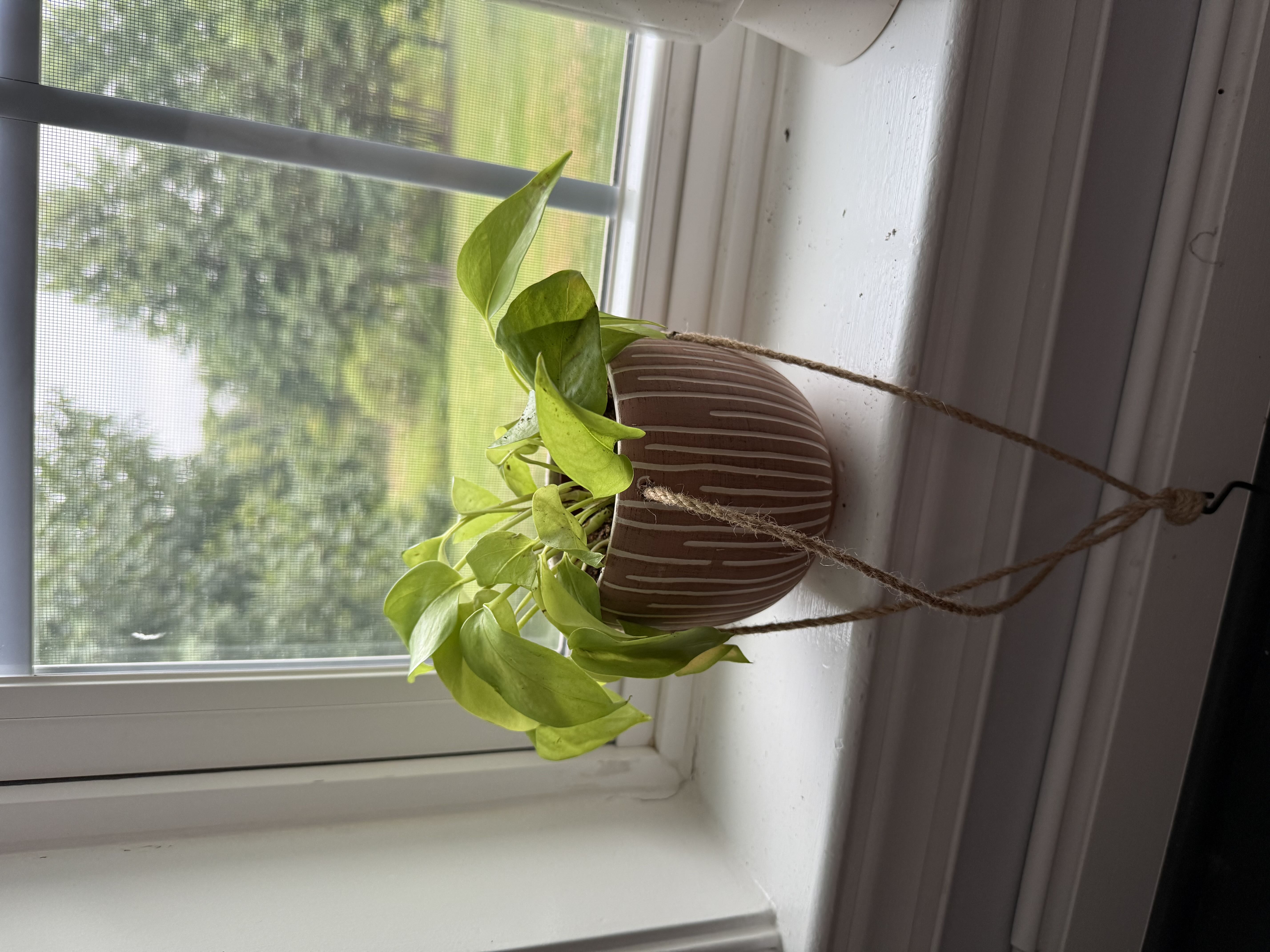 Photo from the post