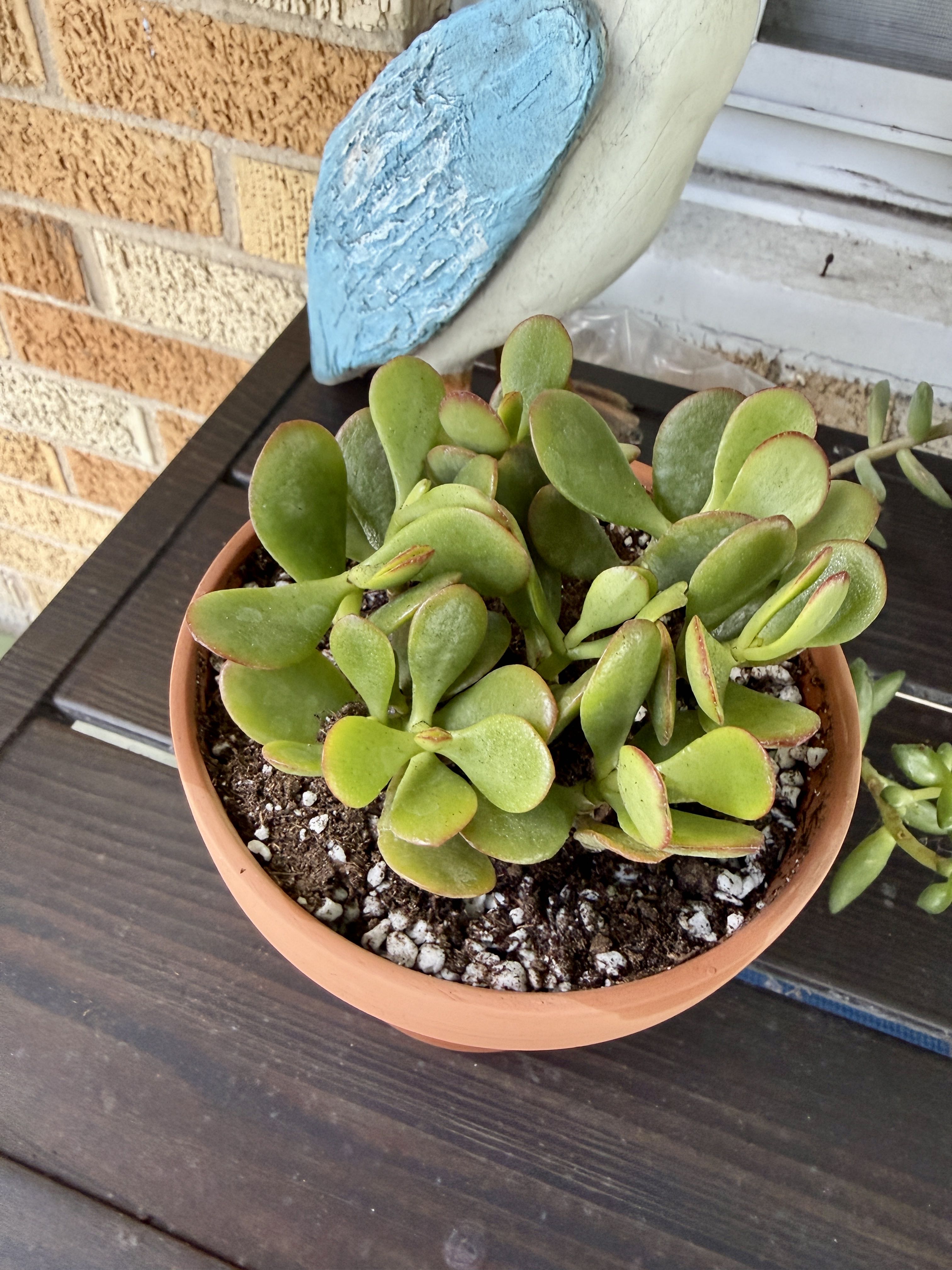 Photo from the post