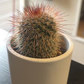 Spikezilla