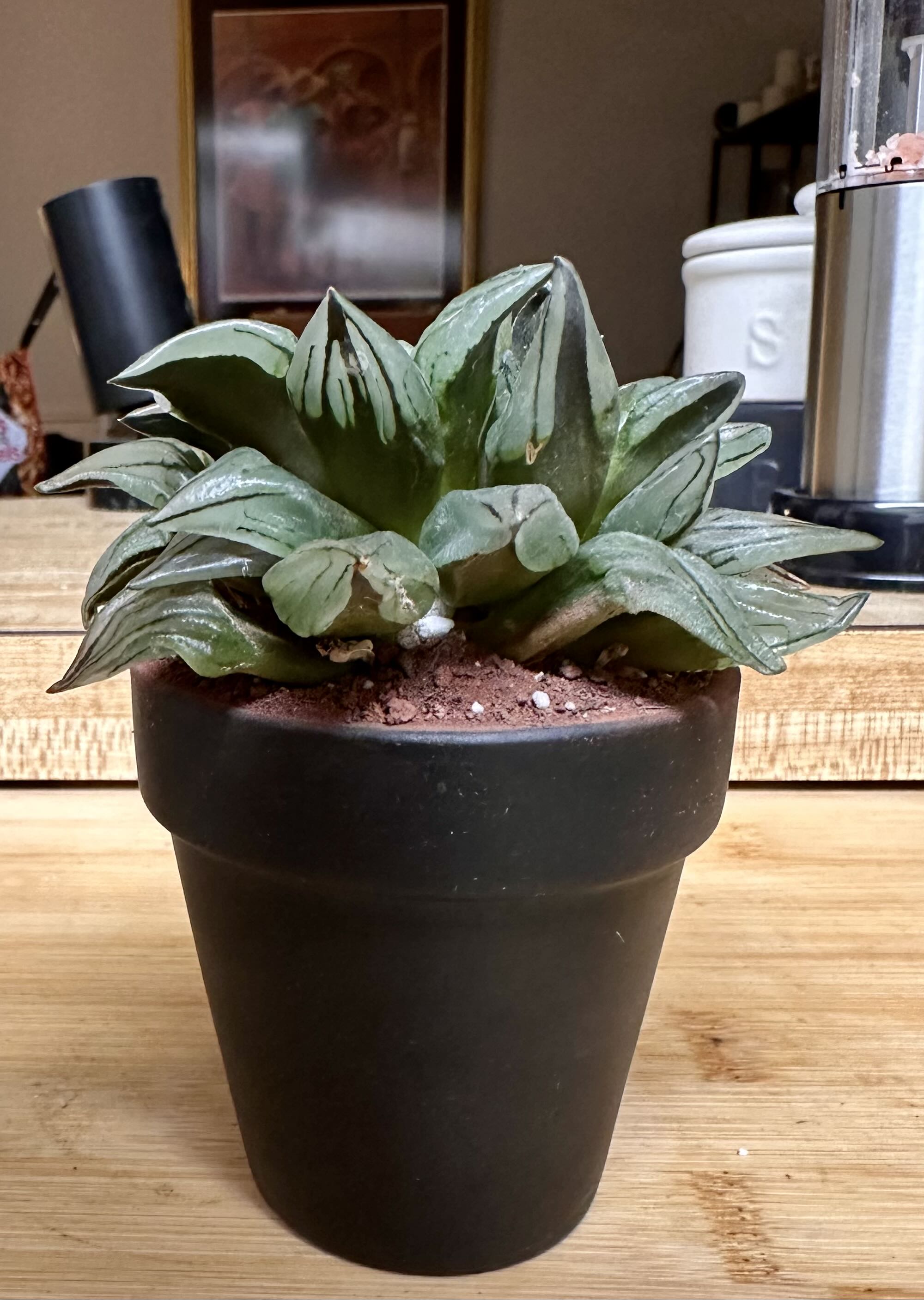 Photo from the post