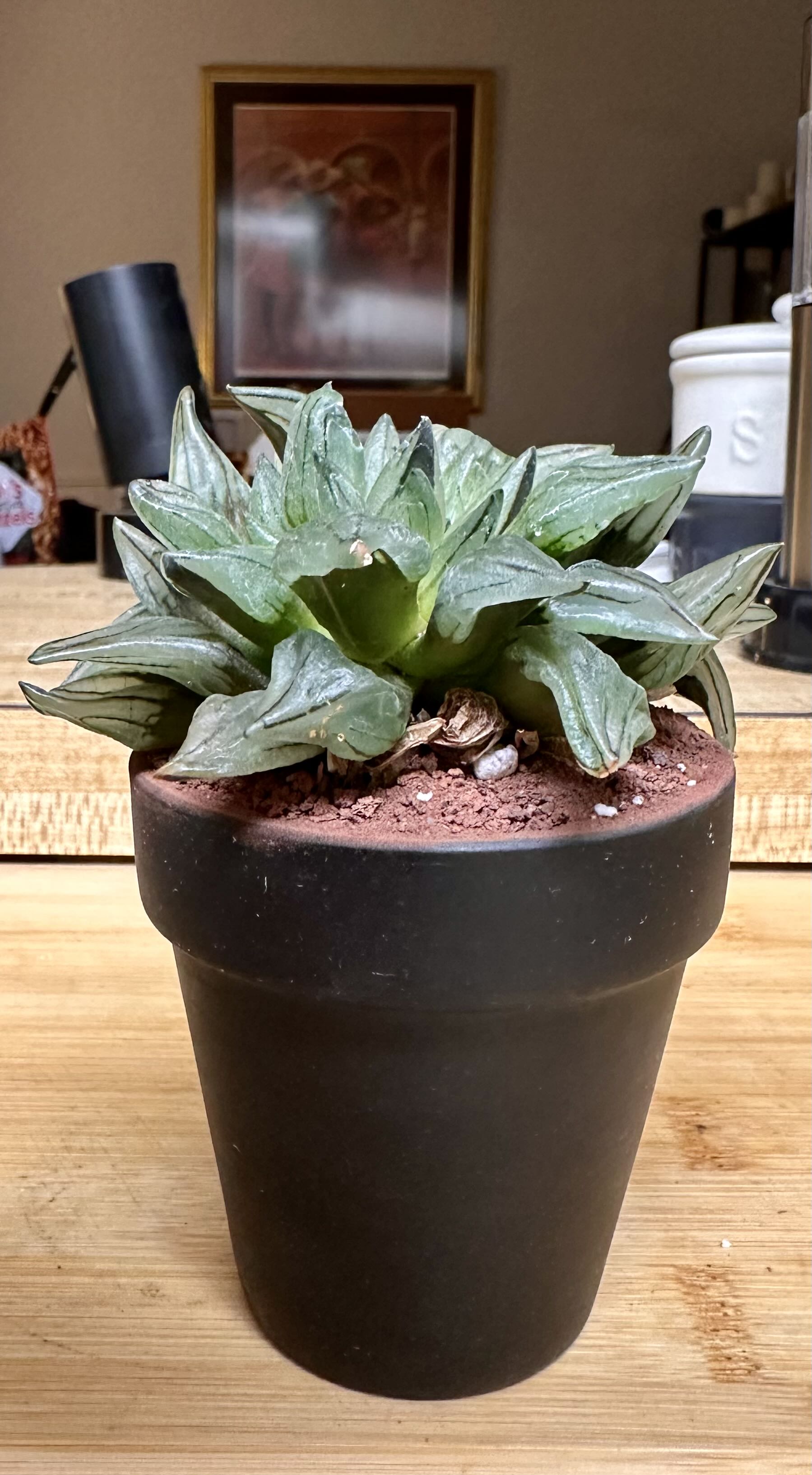 Photo from the post