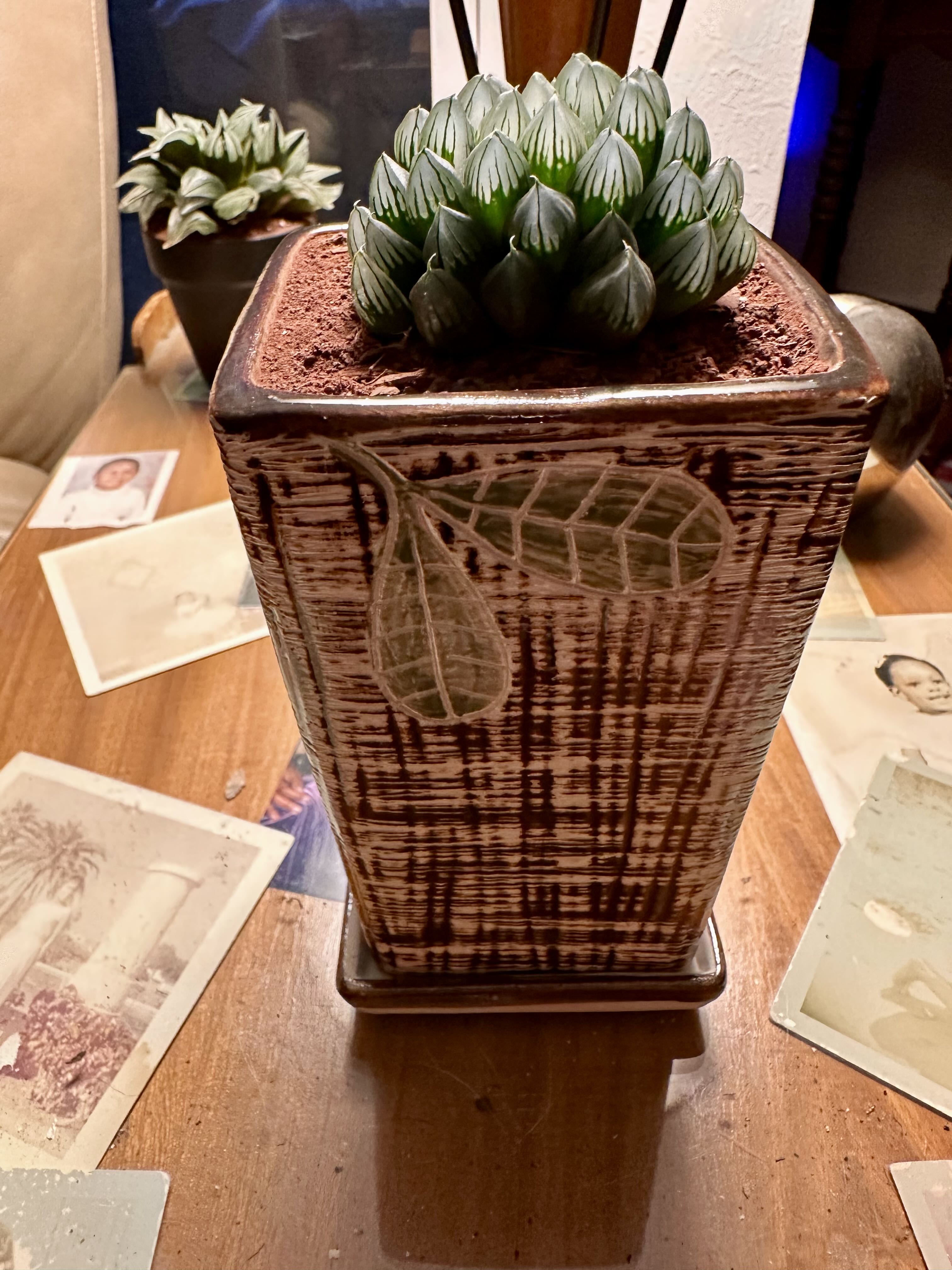 Photo from the post