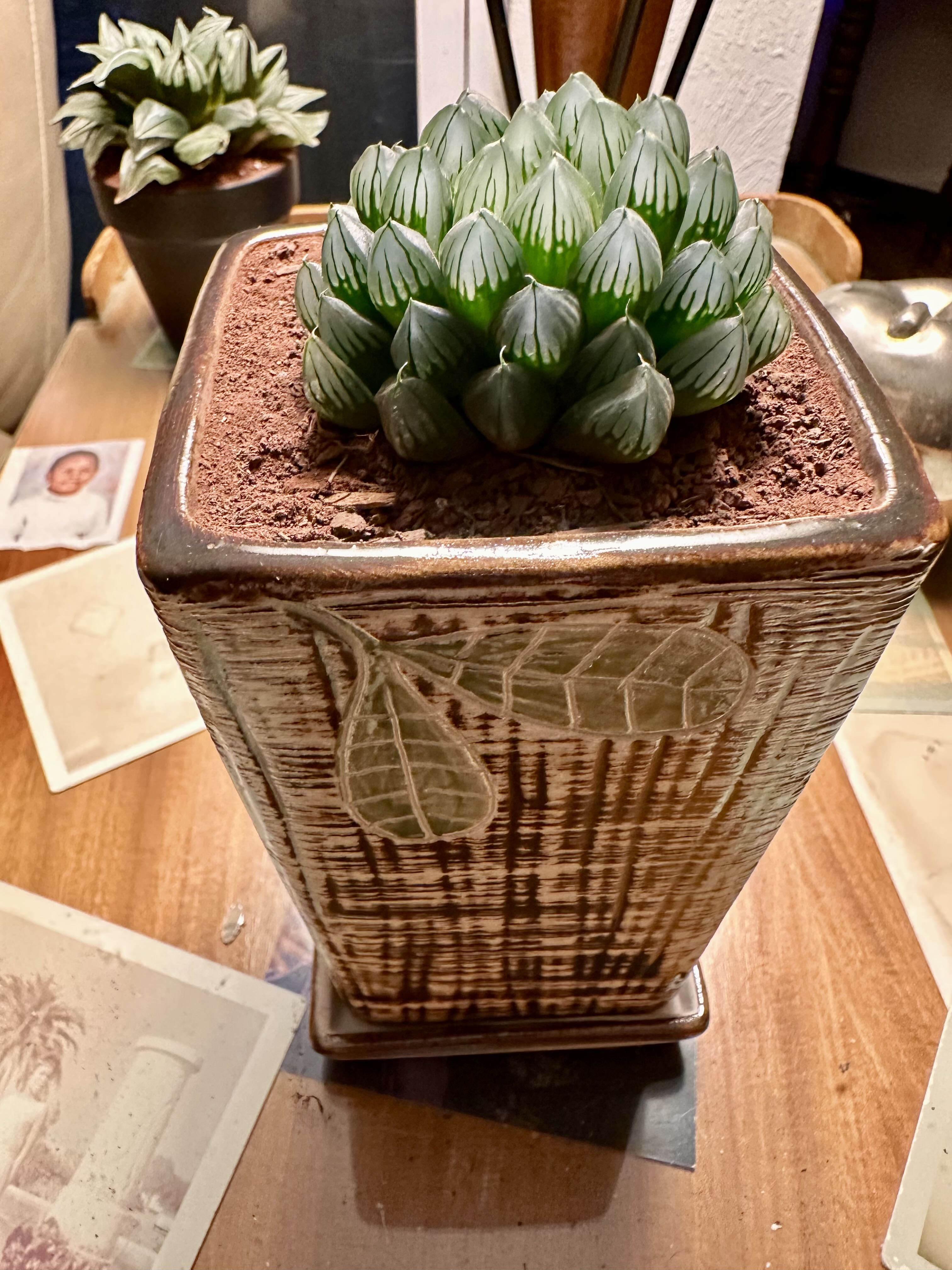 Photo from the post