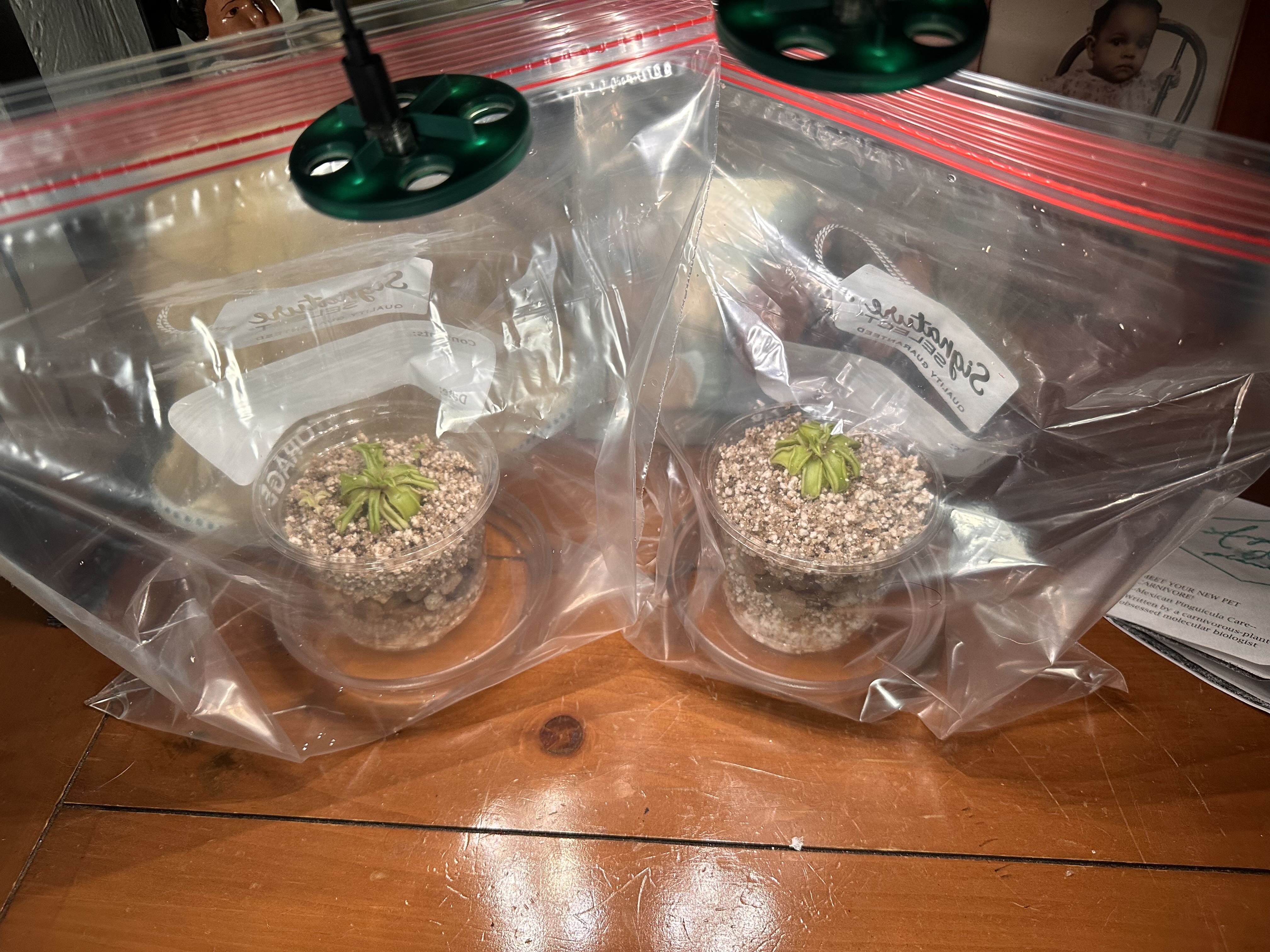 Photo from the post
