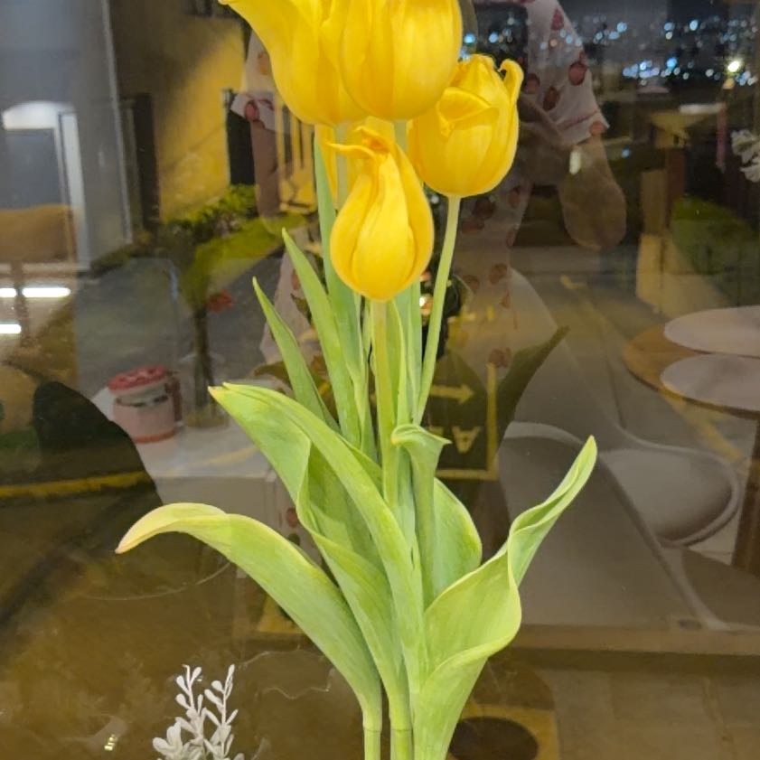 Photo of the plant species Garden Tulip by @StackedNutgrass named Constanza on Greg, the plant care app