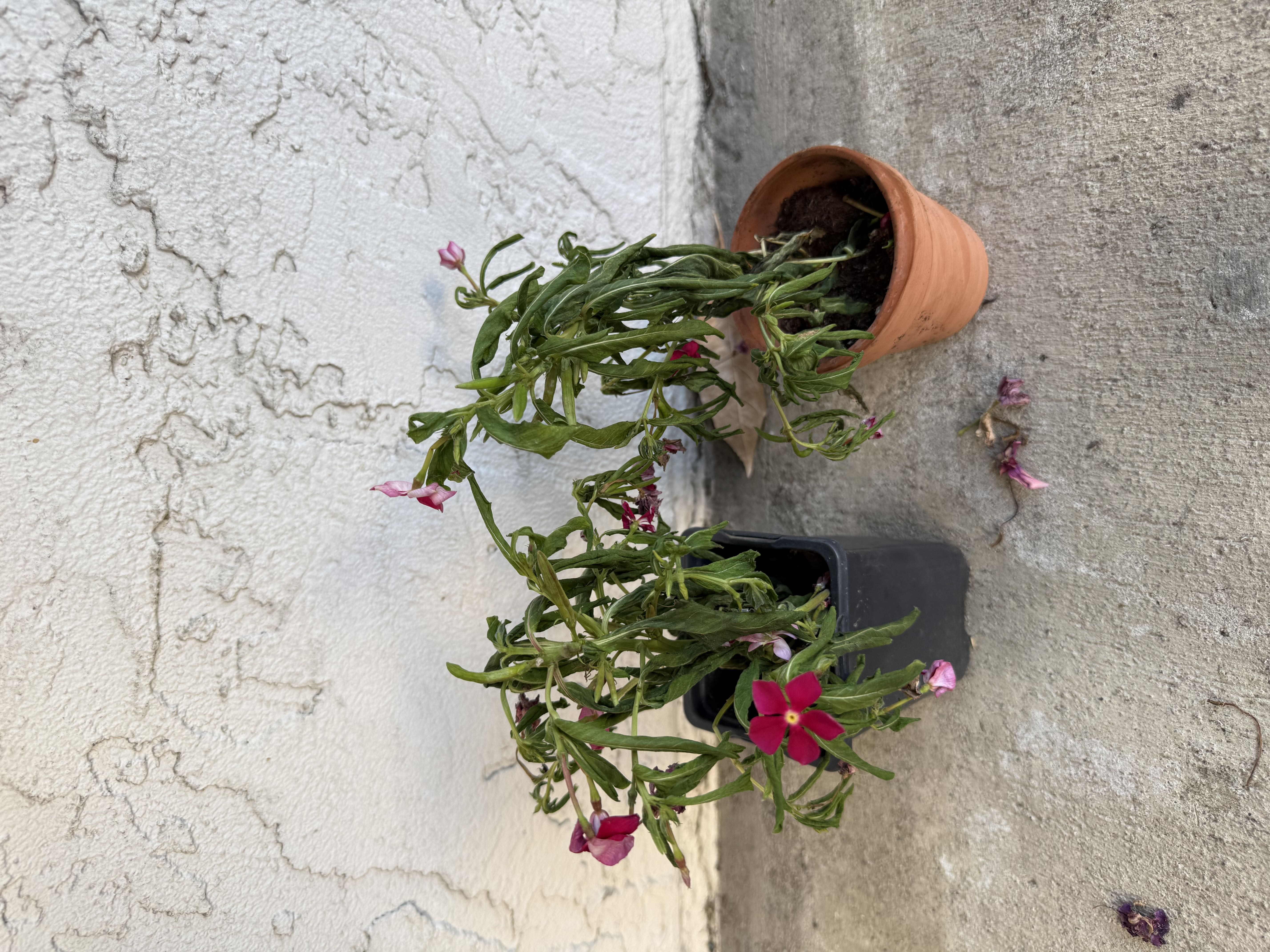 Photo from the post