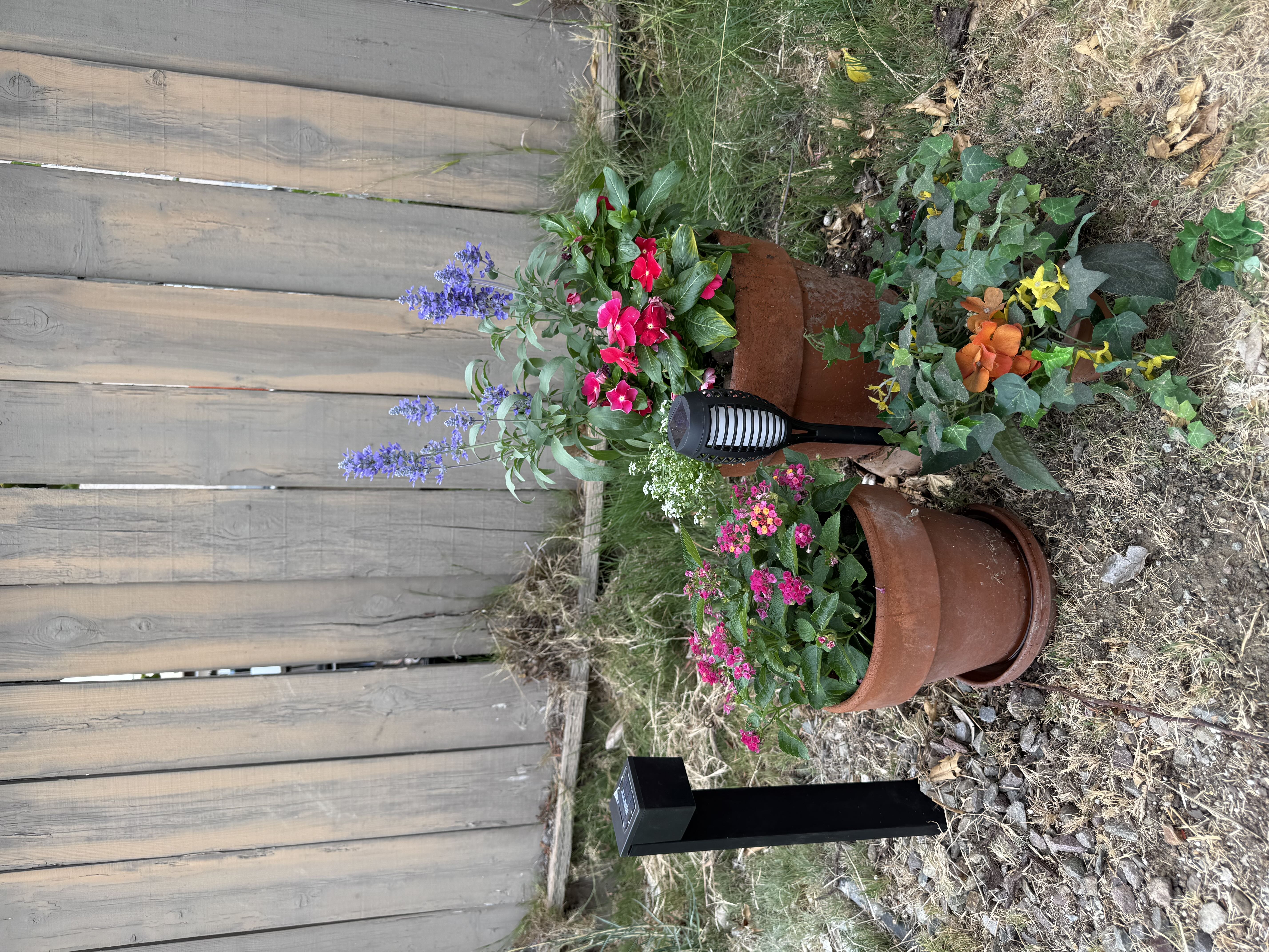 Photo from the post