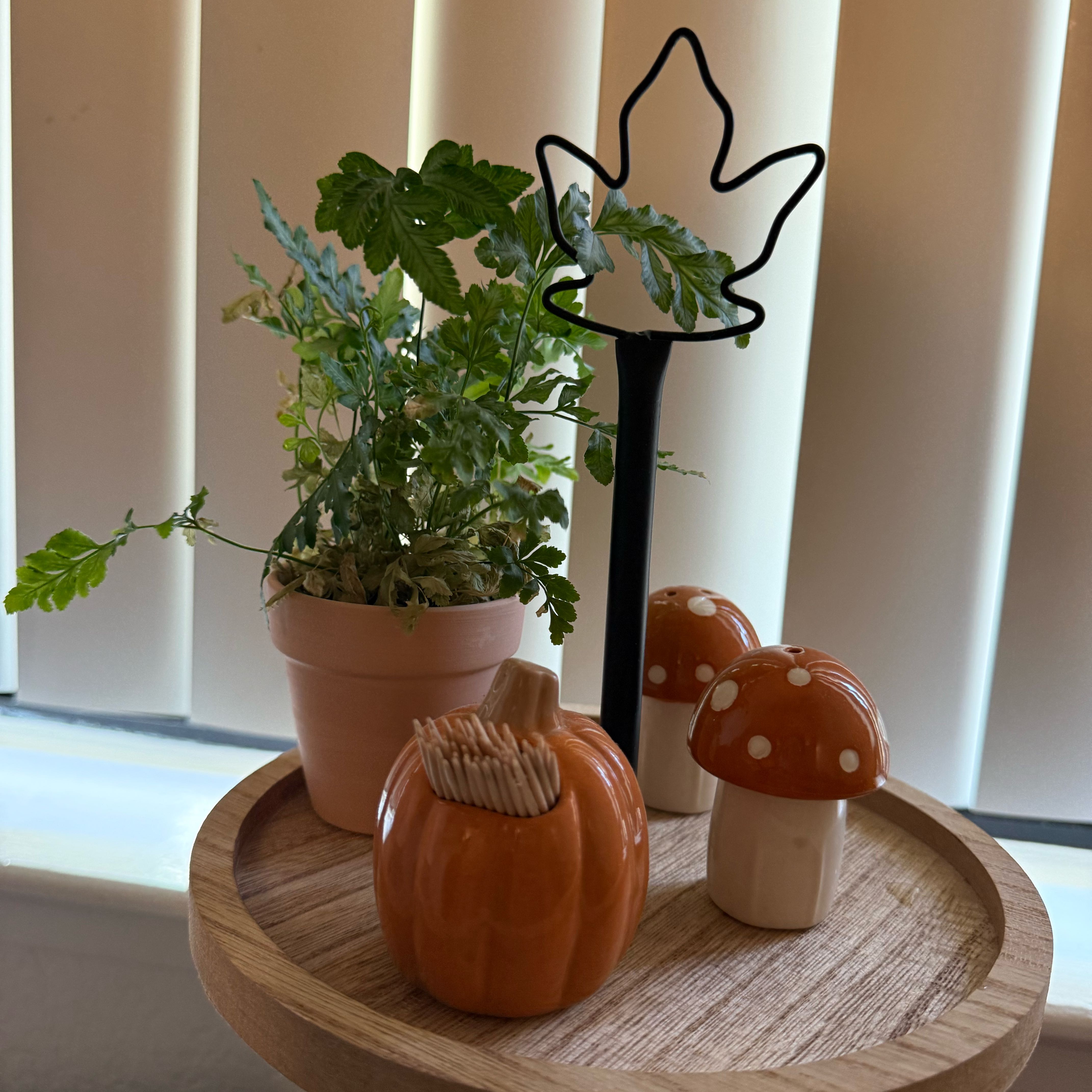 Photo of the plant species Brake Fern by @YiftLettuce20 named Furnillus on Greg, the plant care app
