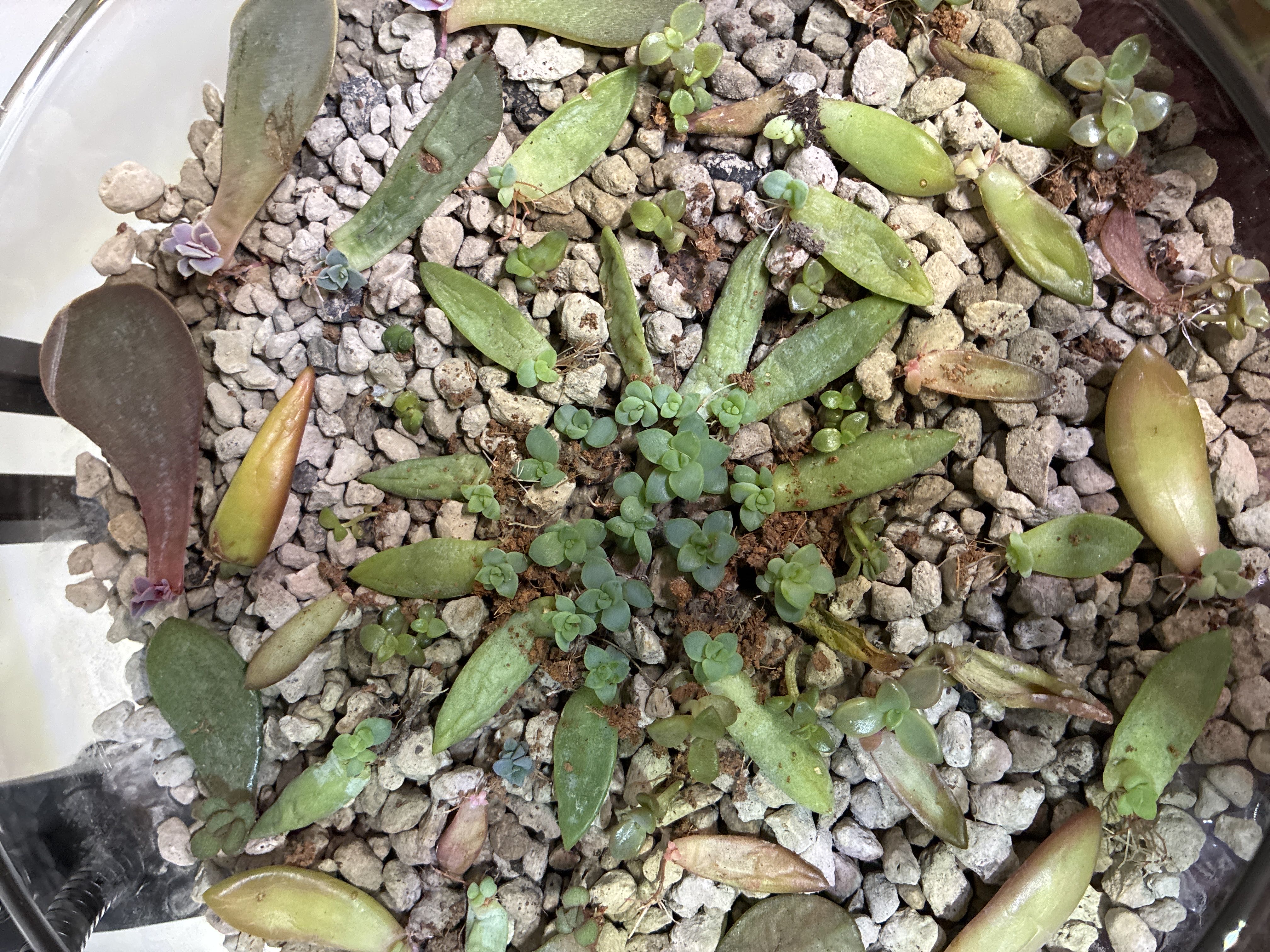 Photo from the post