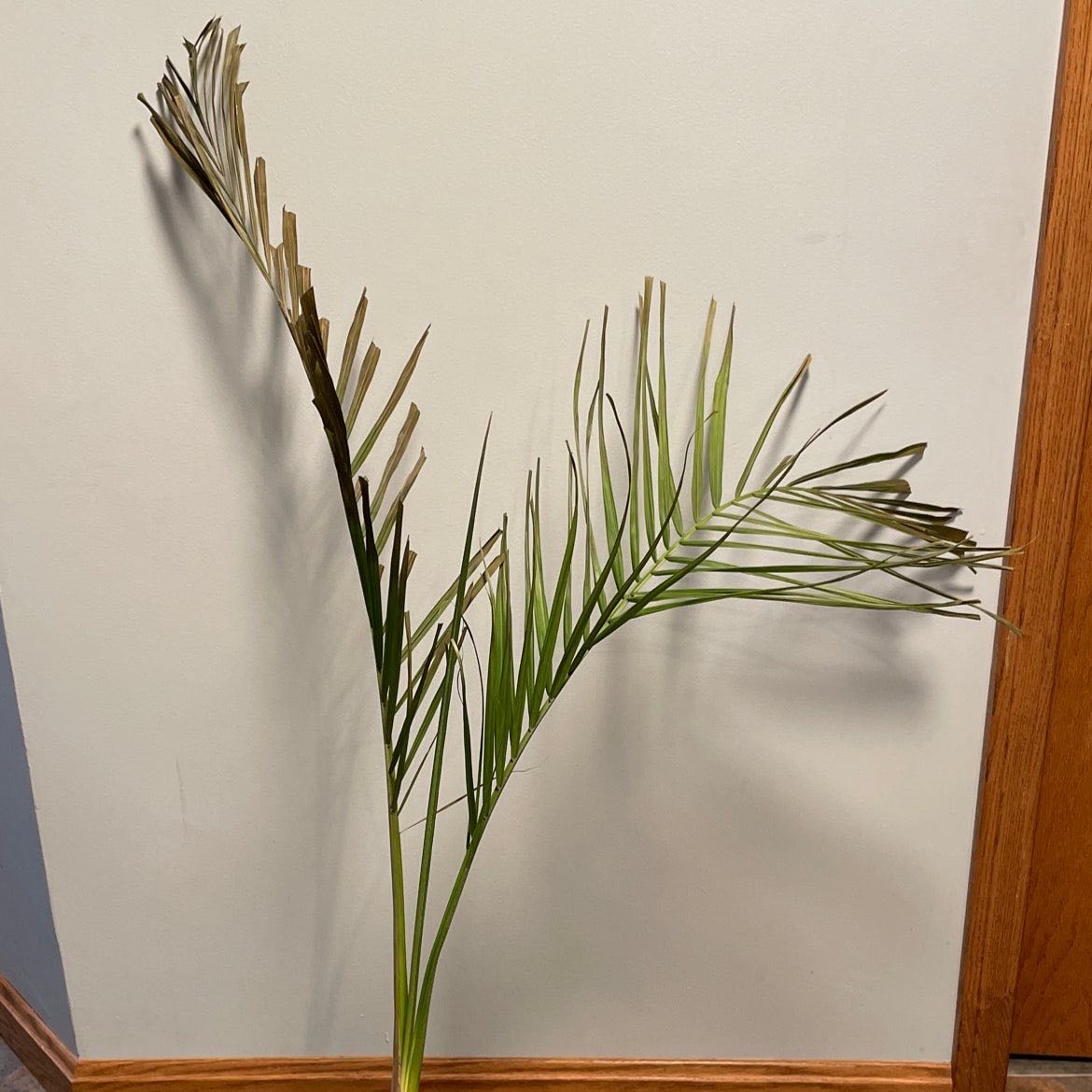 Photo from the post