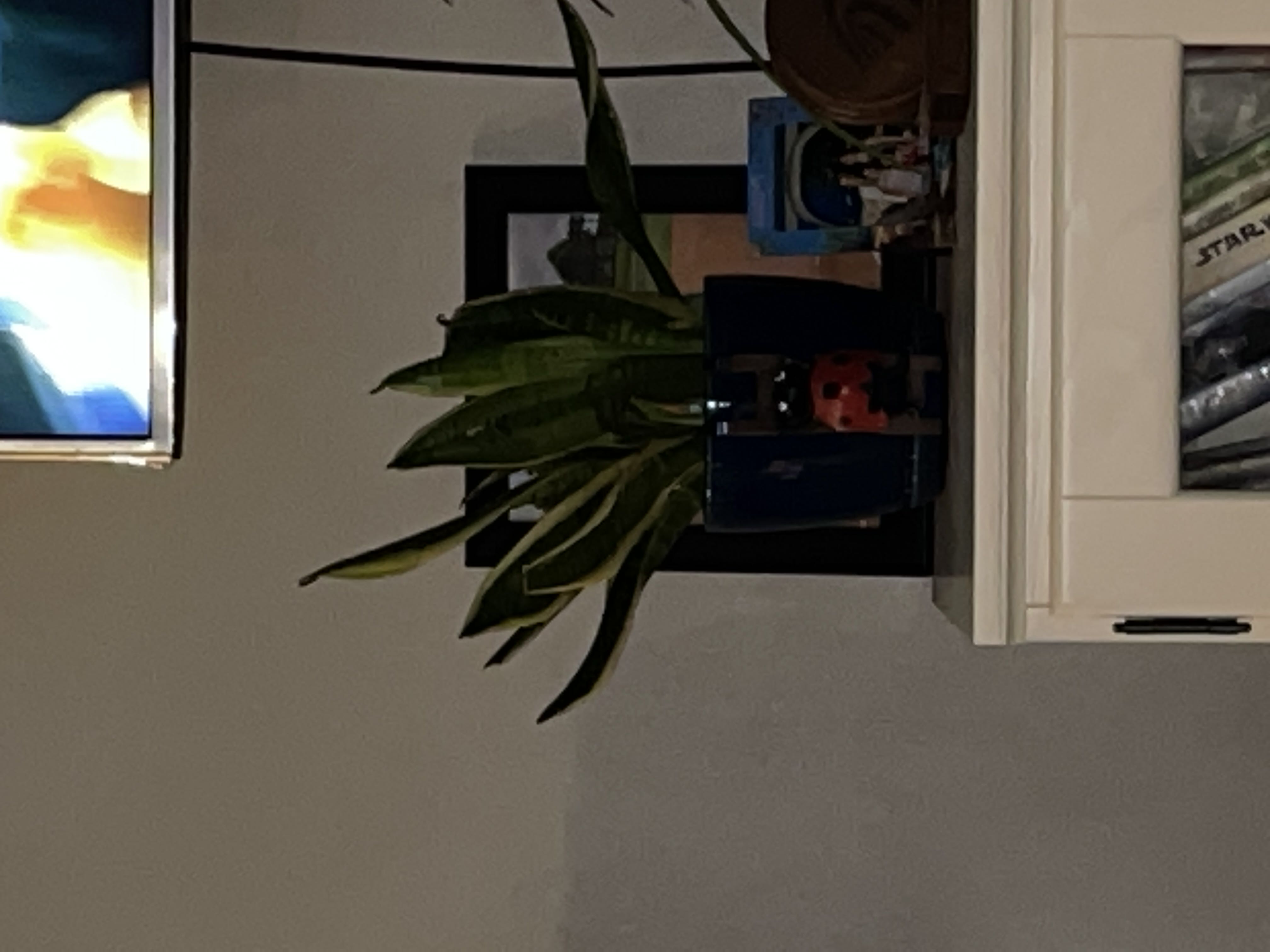 Photo from the post