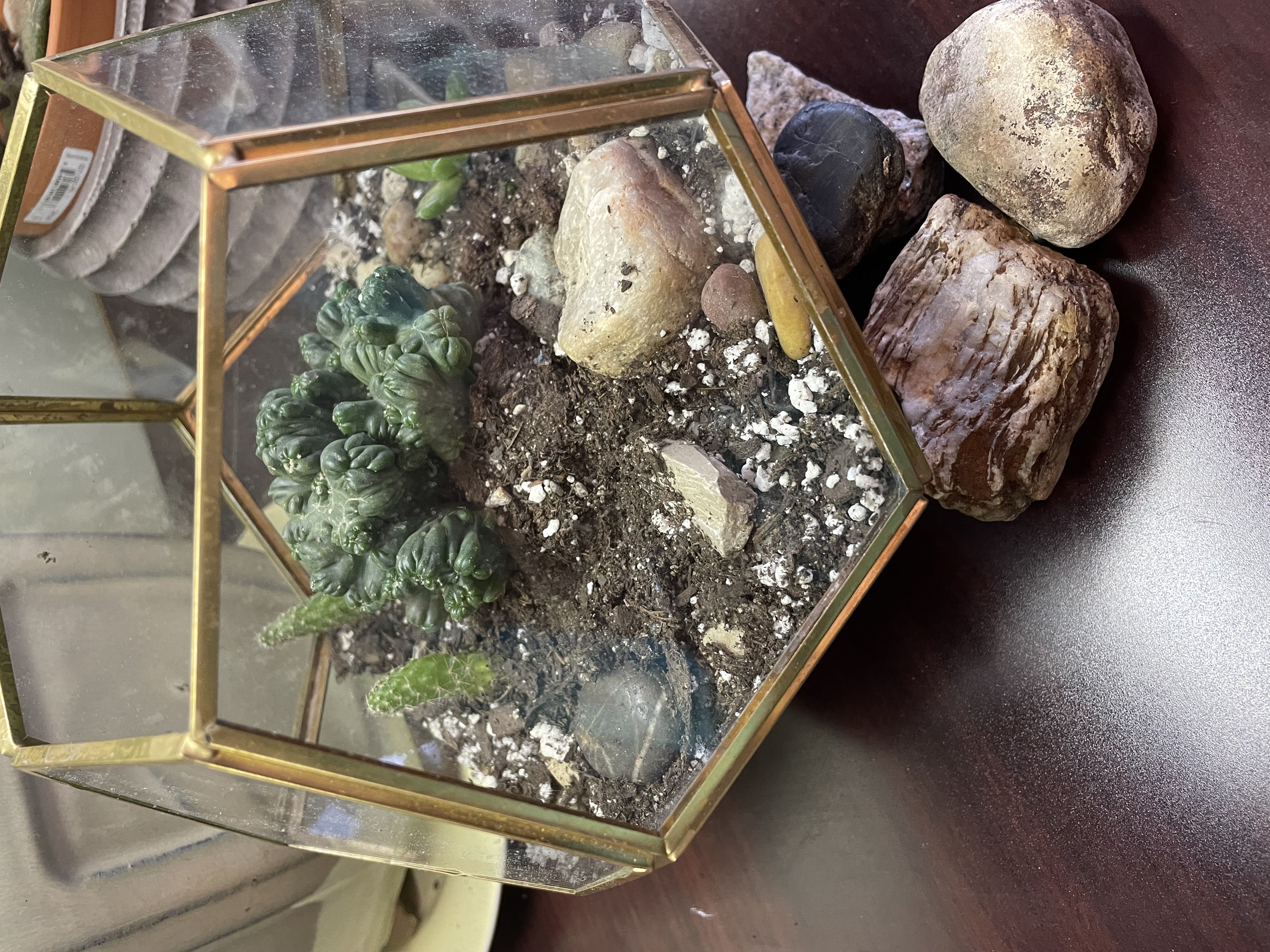 Photo from the post