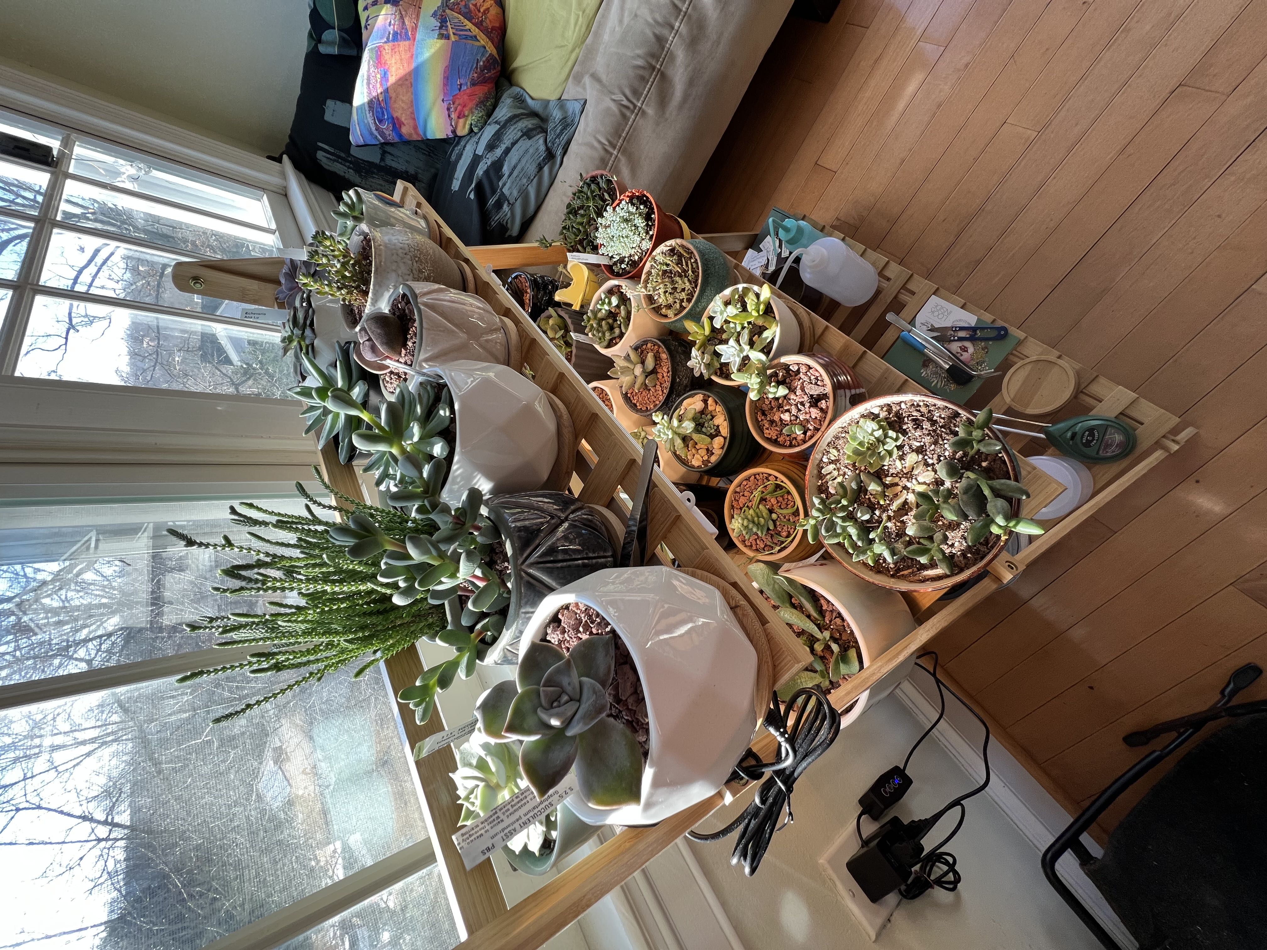 Photo from the post