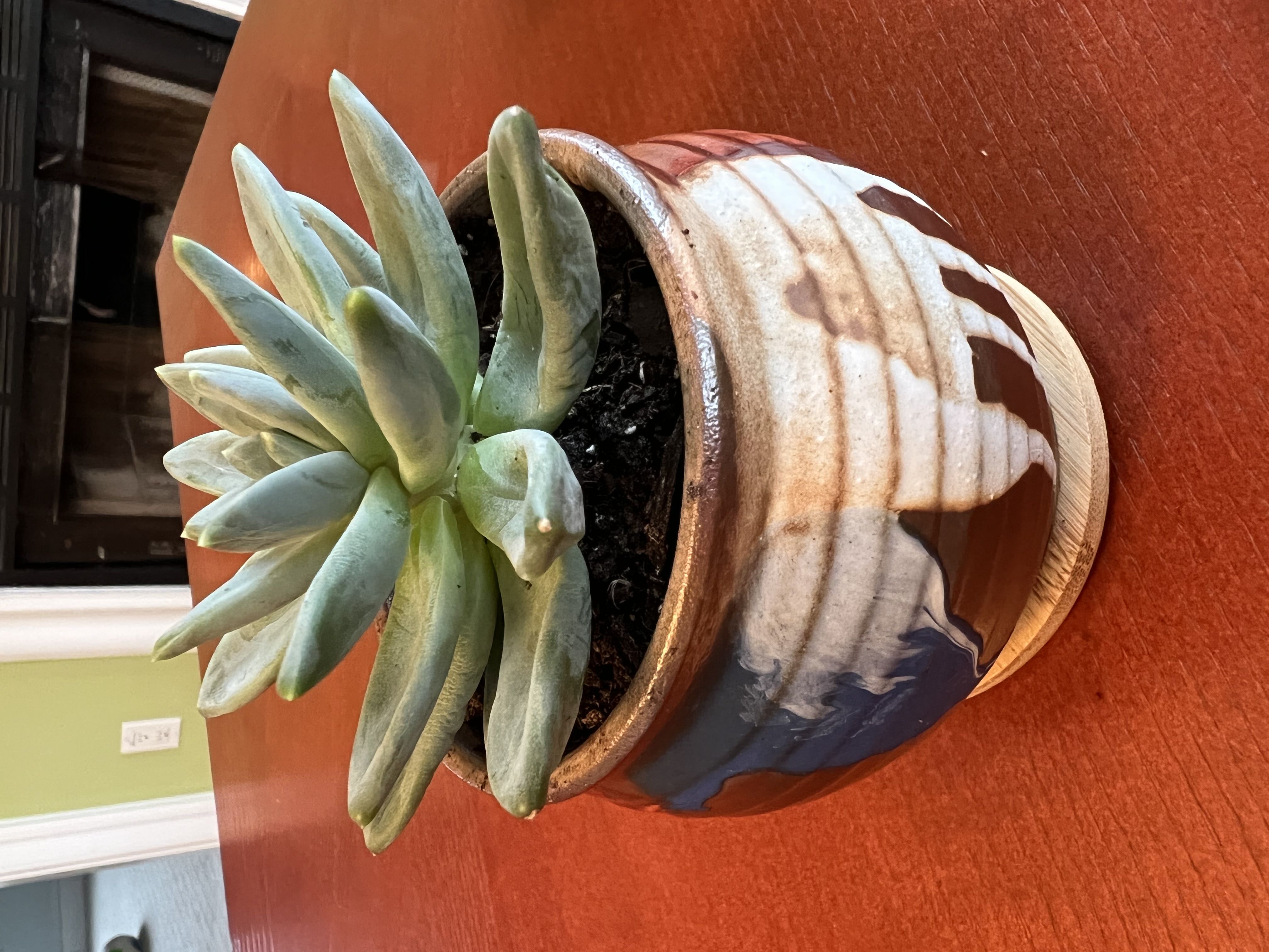 Photo from the post