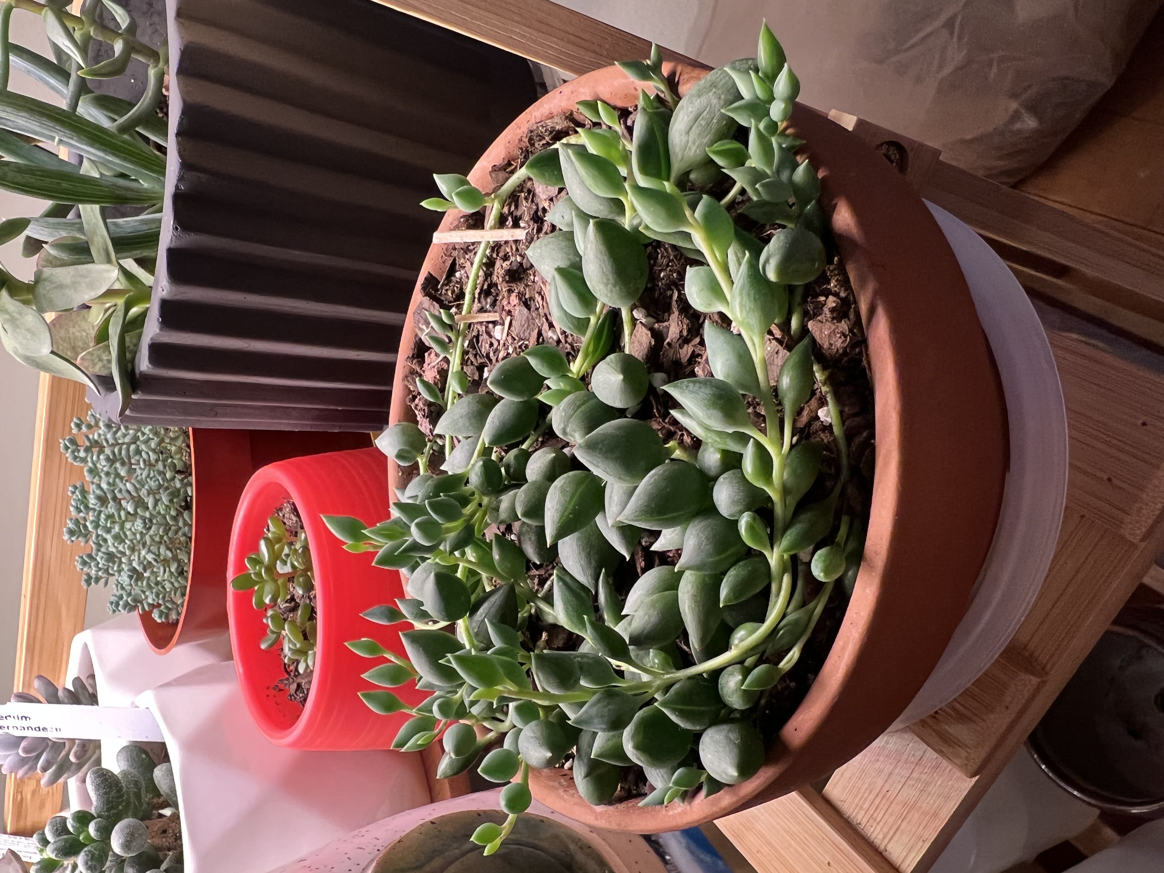 Photo from the post
