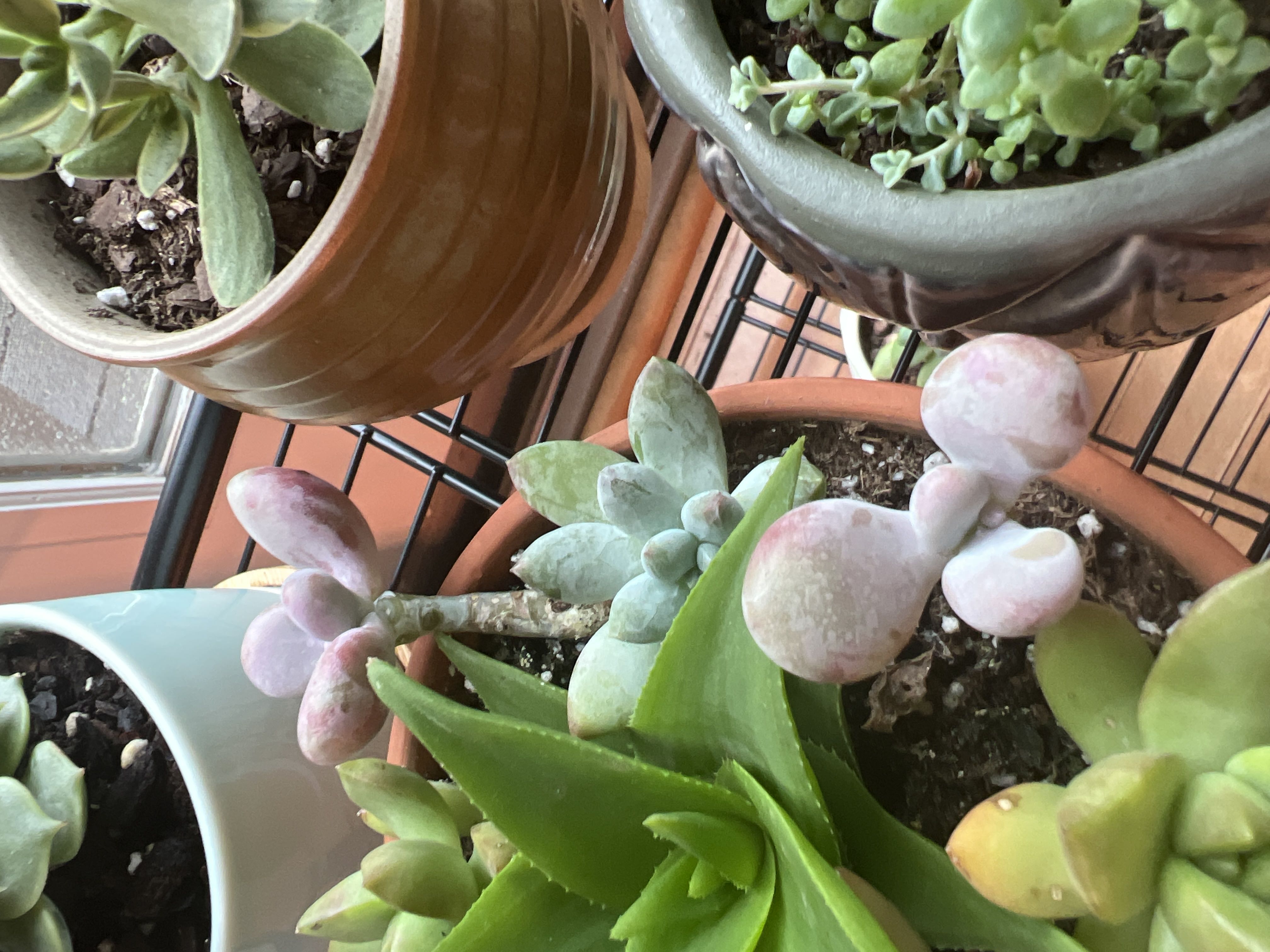 Photo from the post
