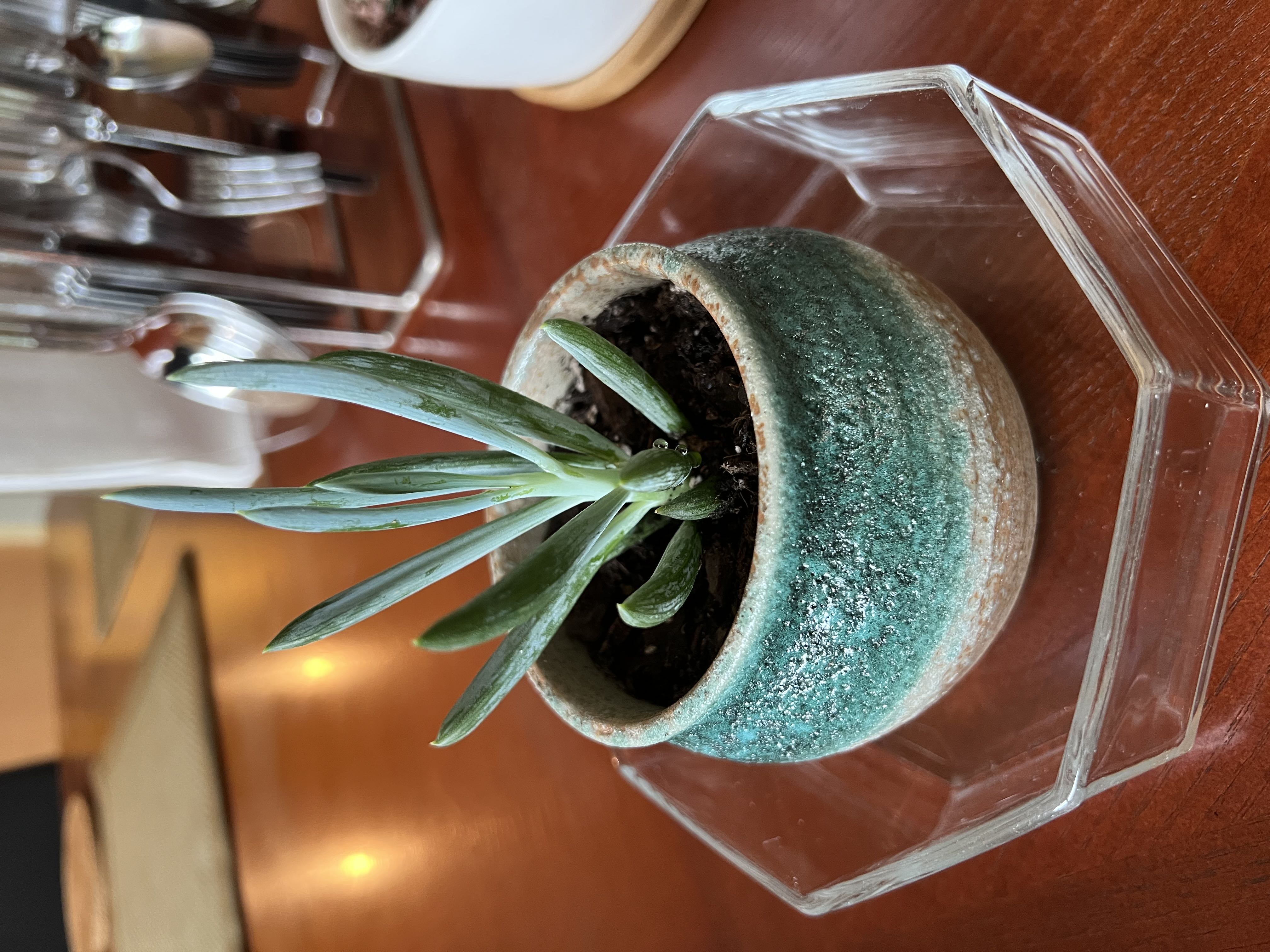 Photo from the post