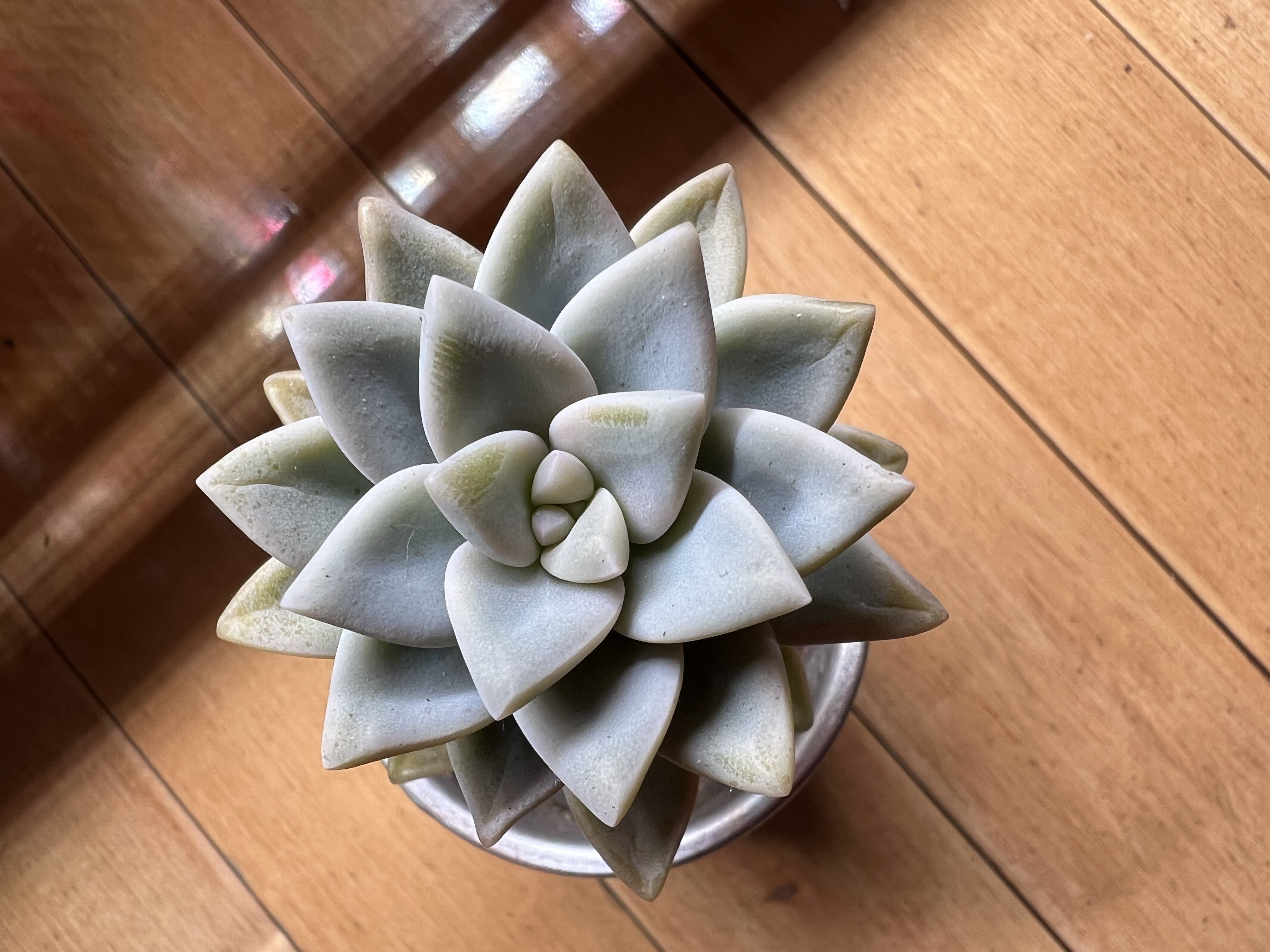 Photo from the post