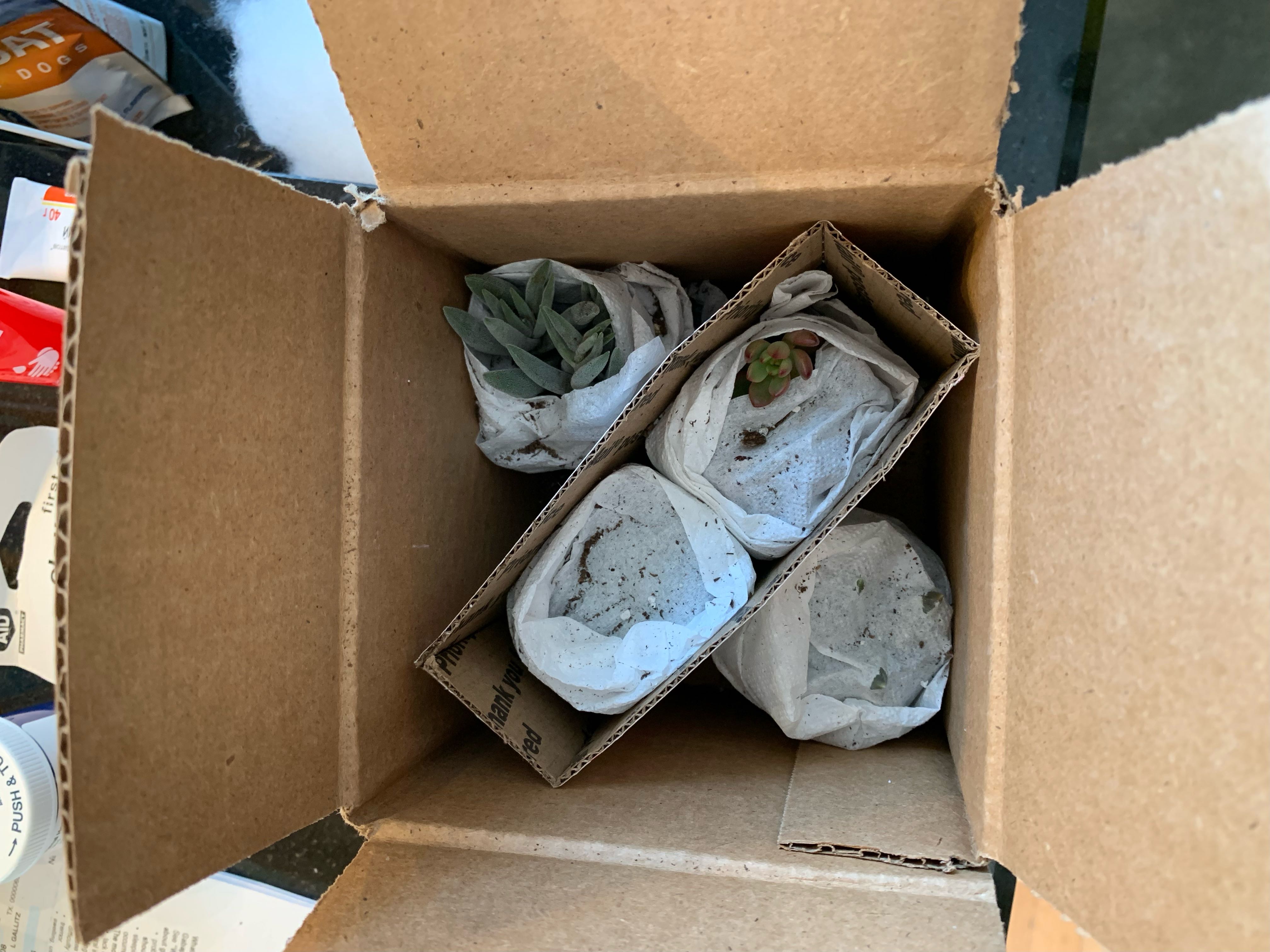 Photo from the post