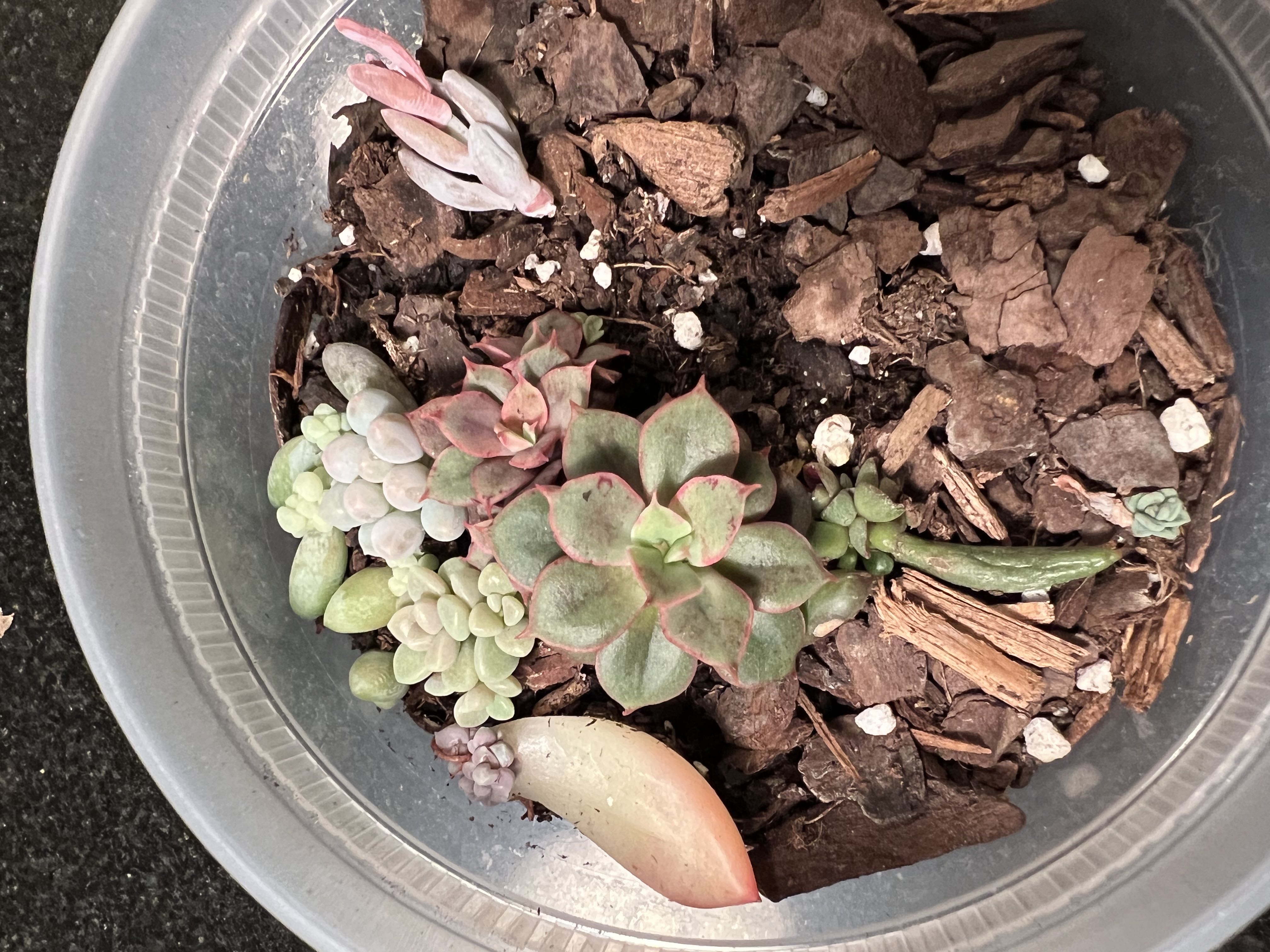 Photo from the post