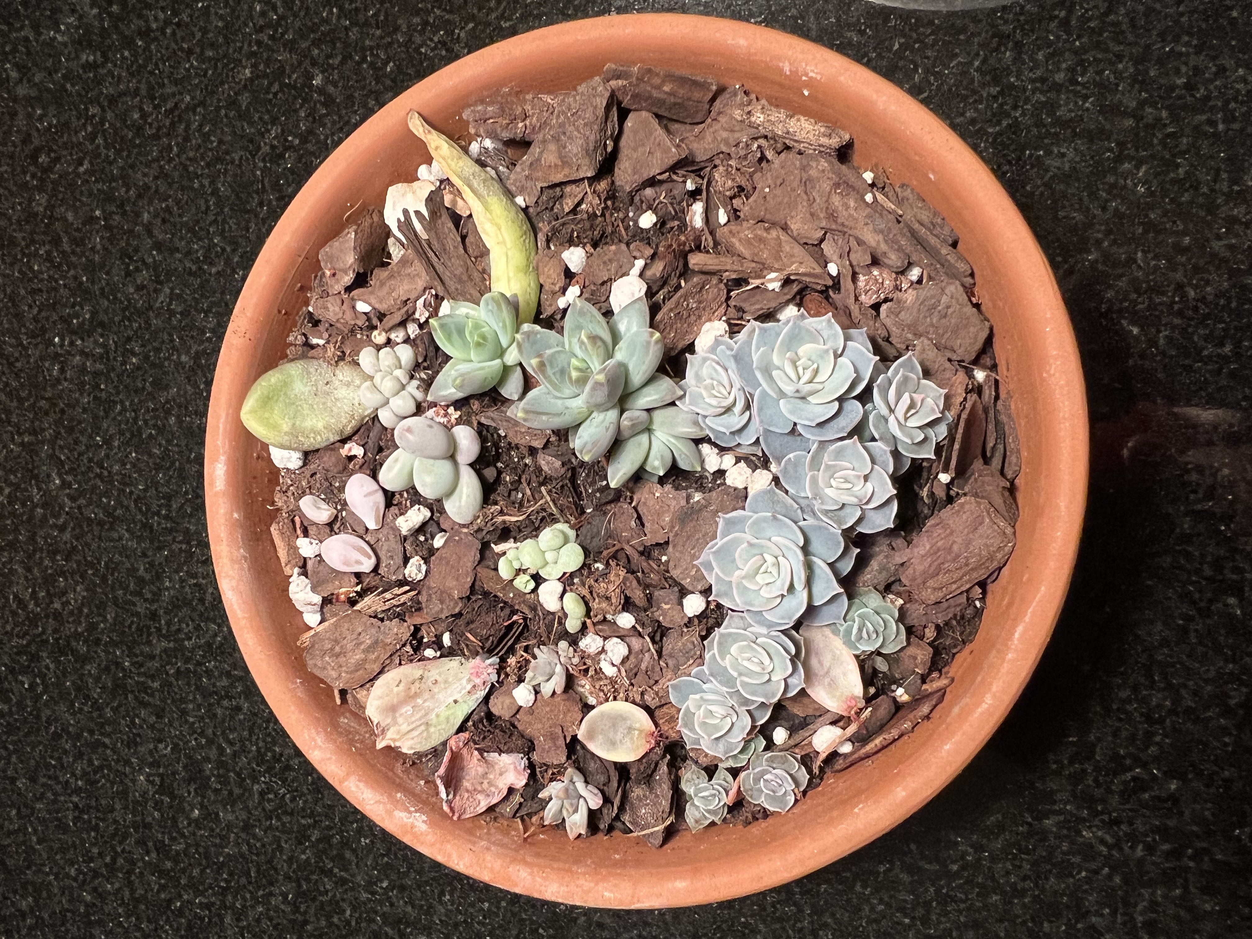 Photo from the post