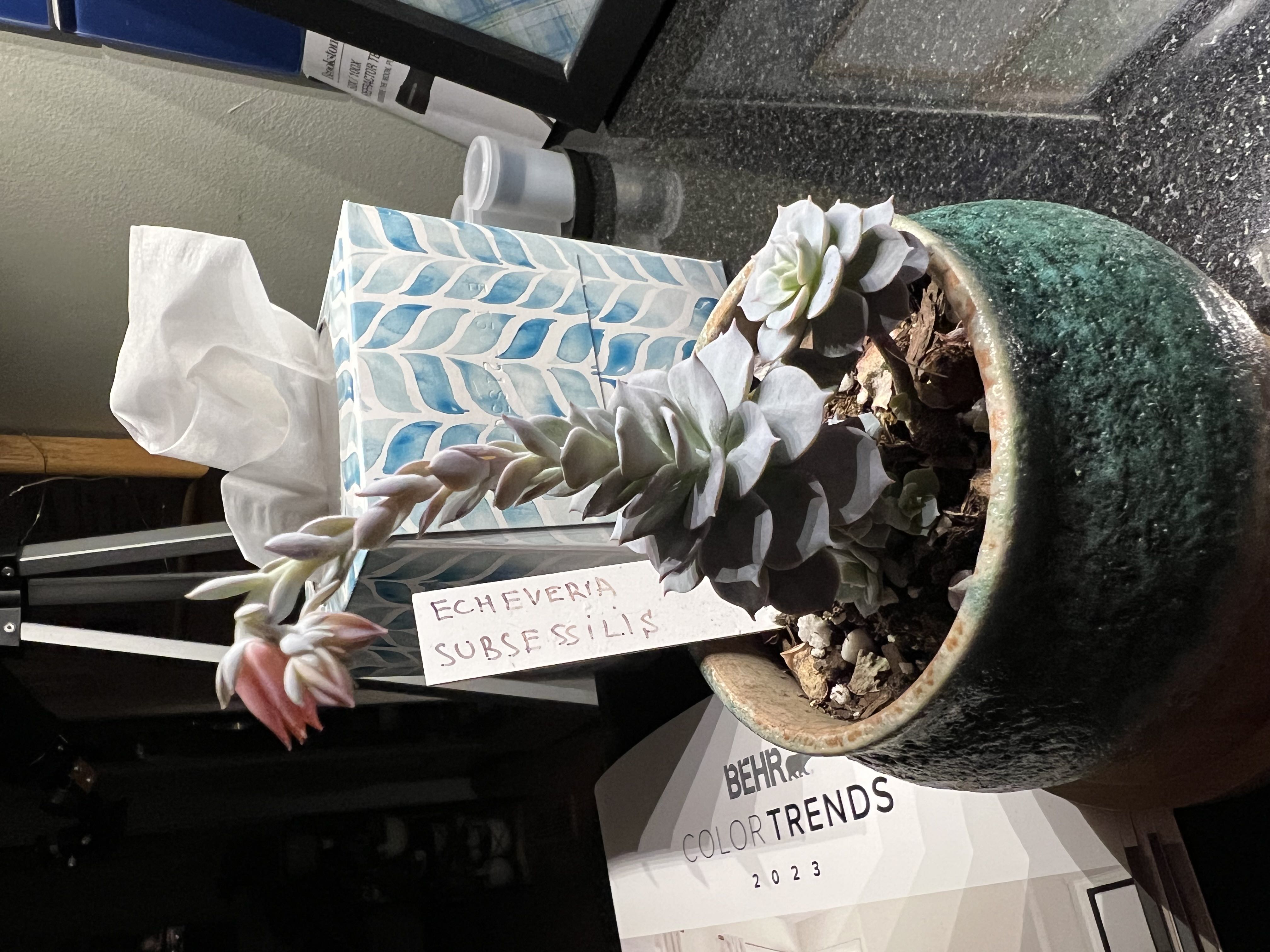 Photo from the post