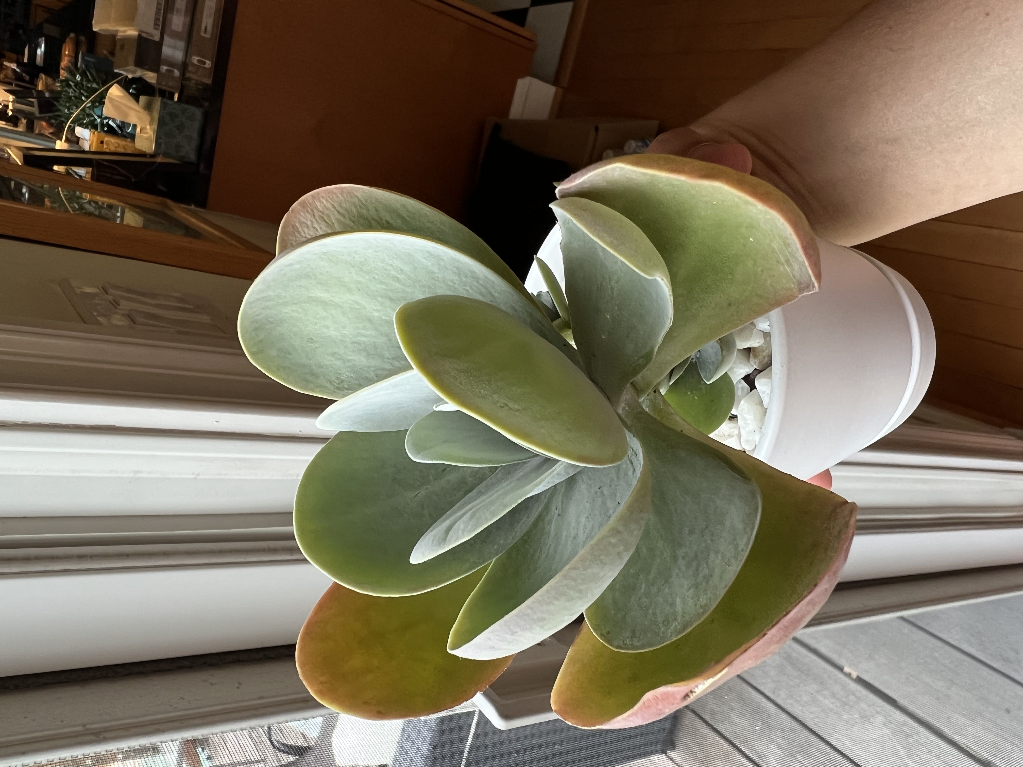 Photo from the post