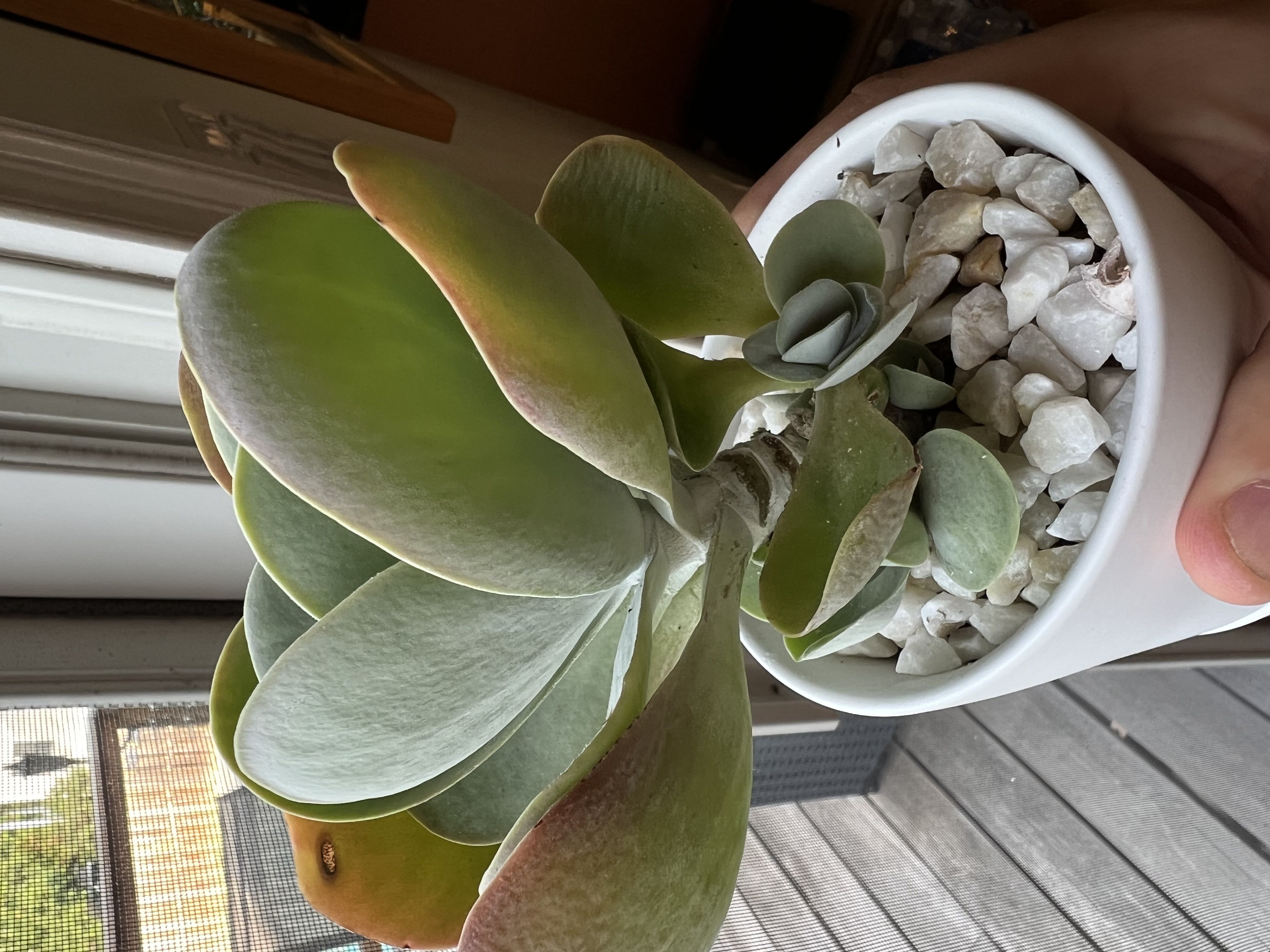 Photo from the post