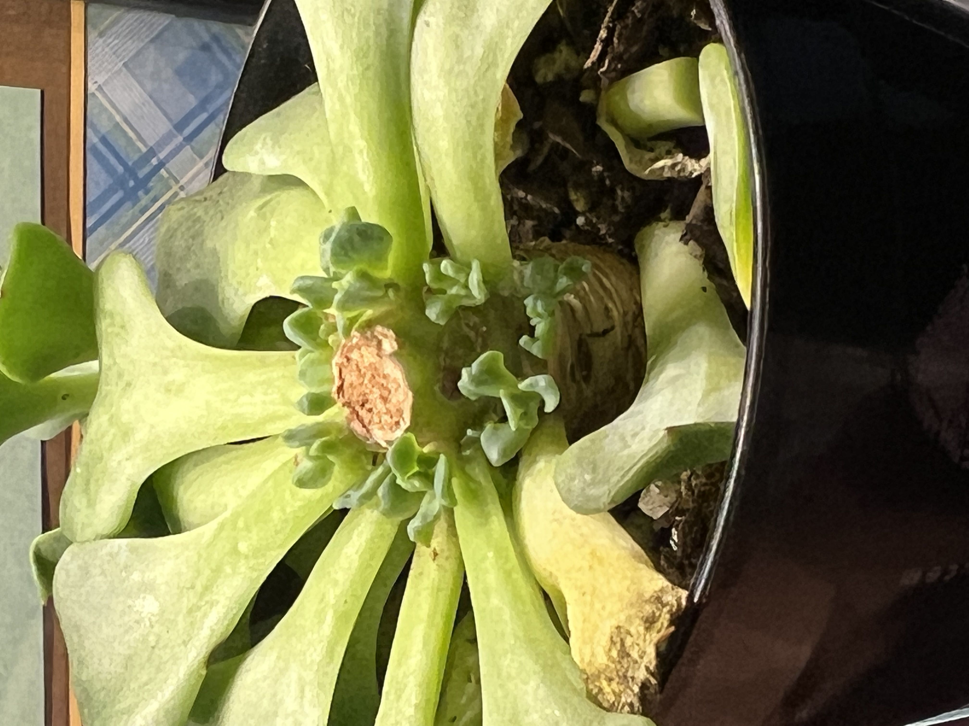 Photo from the post