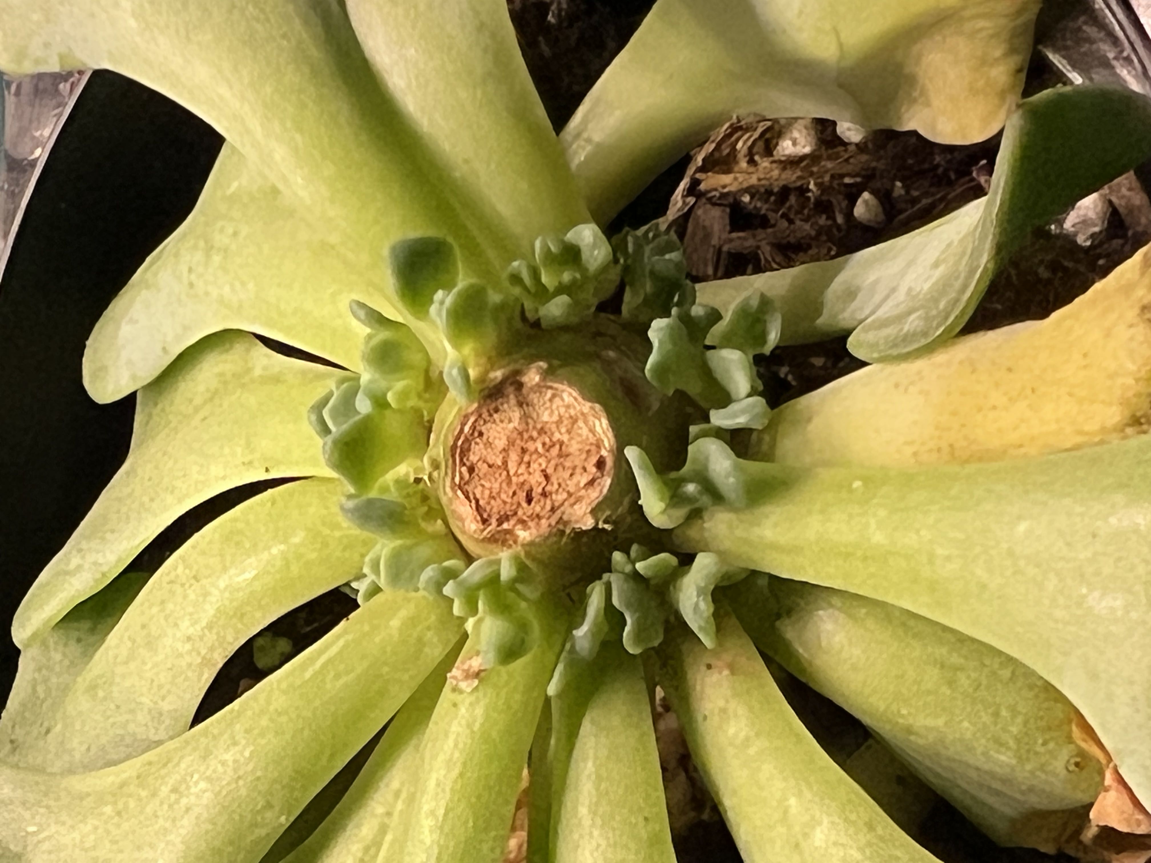 Photo from the post