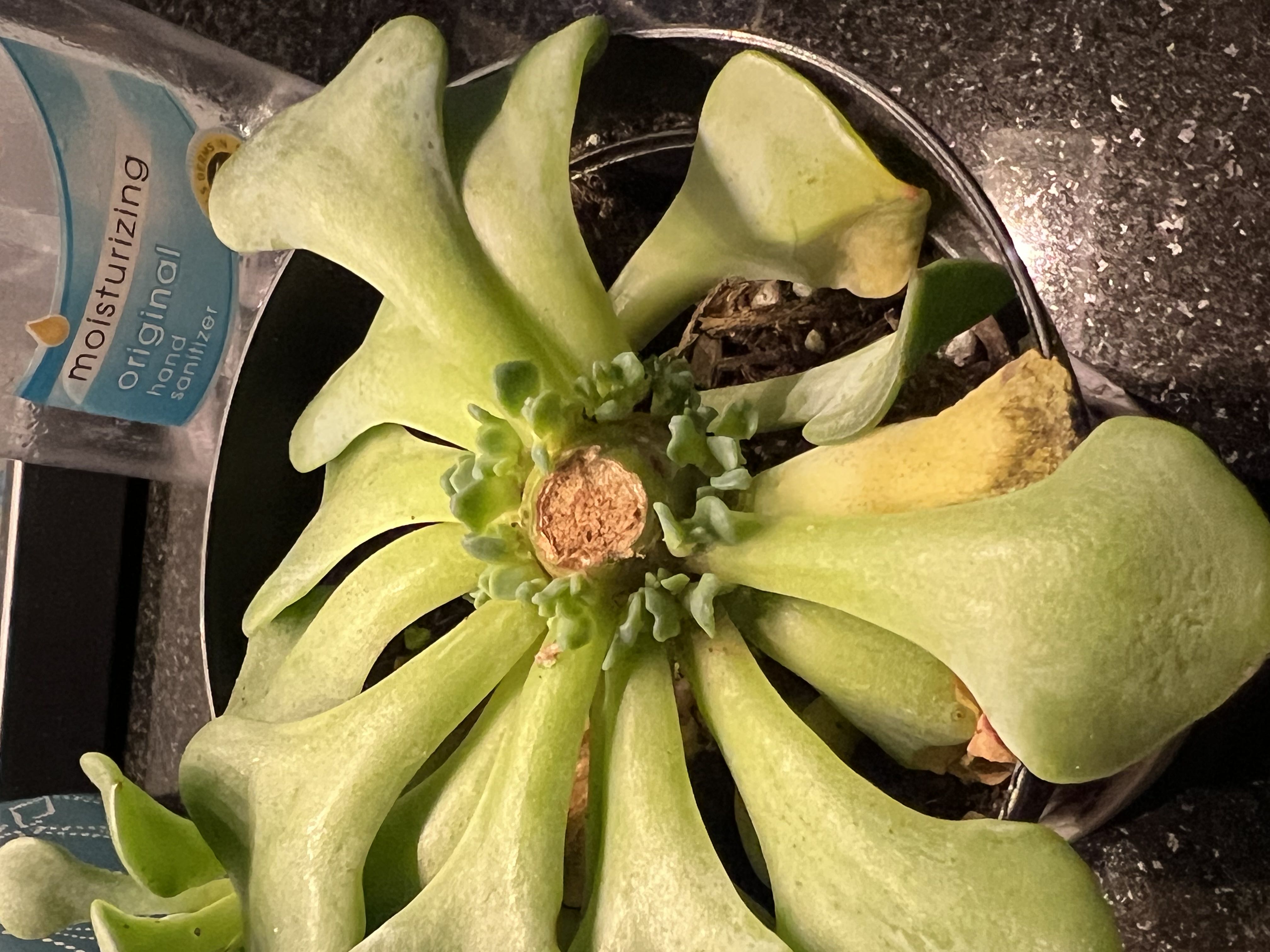 Photo from the post