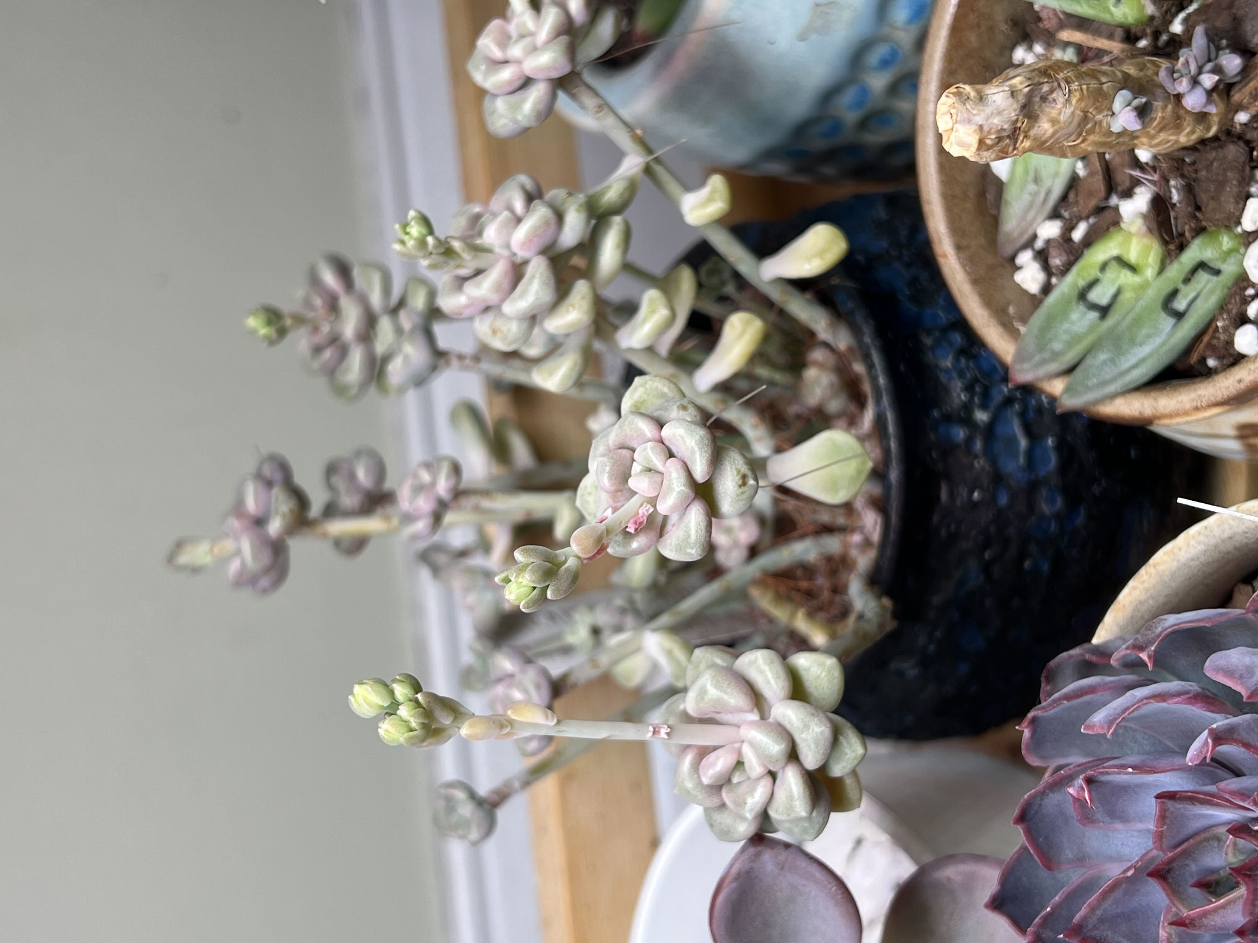 Photo from the post