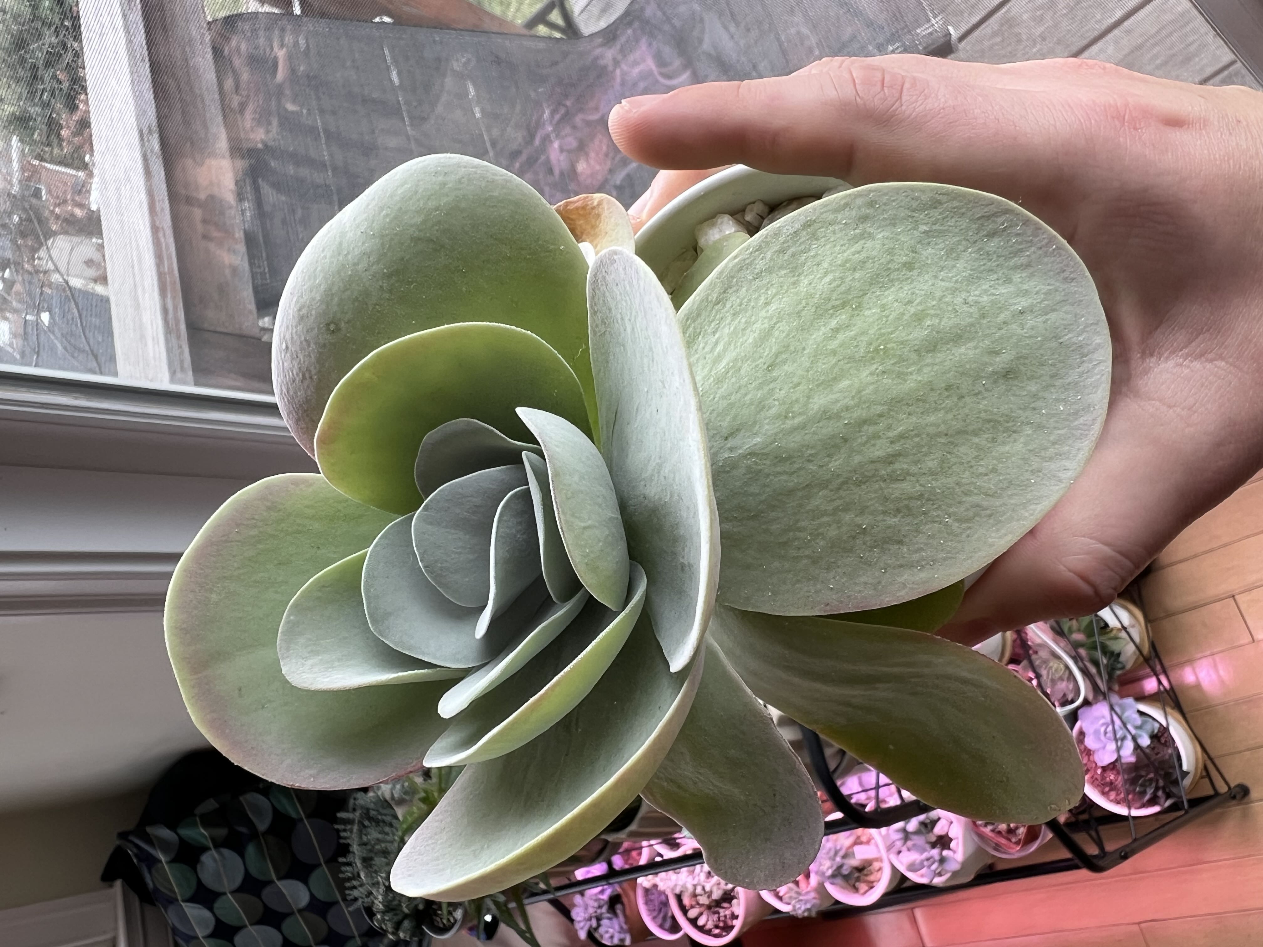 Photo from the post