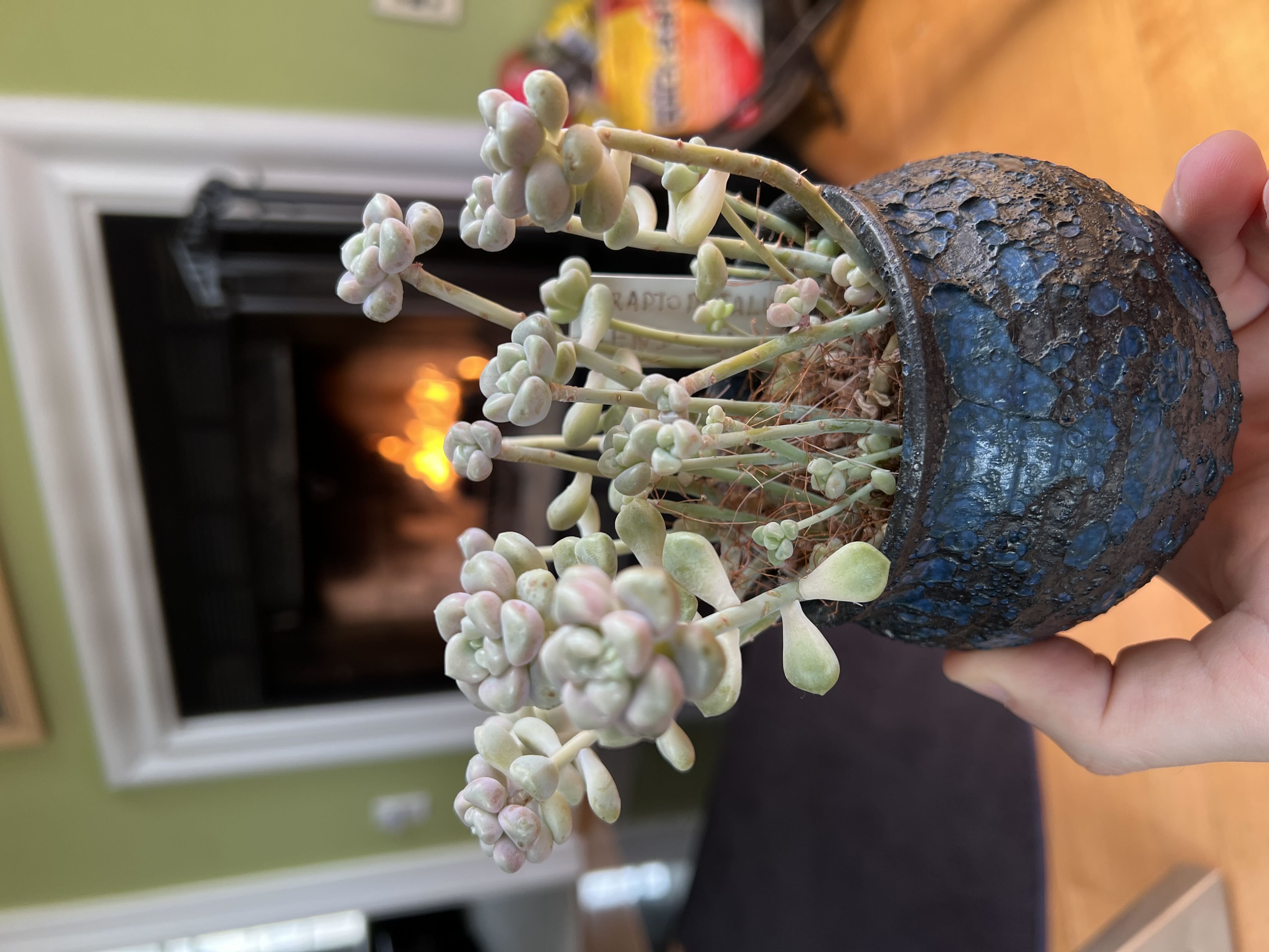 Photo from the post