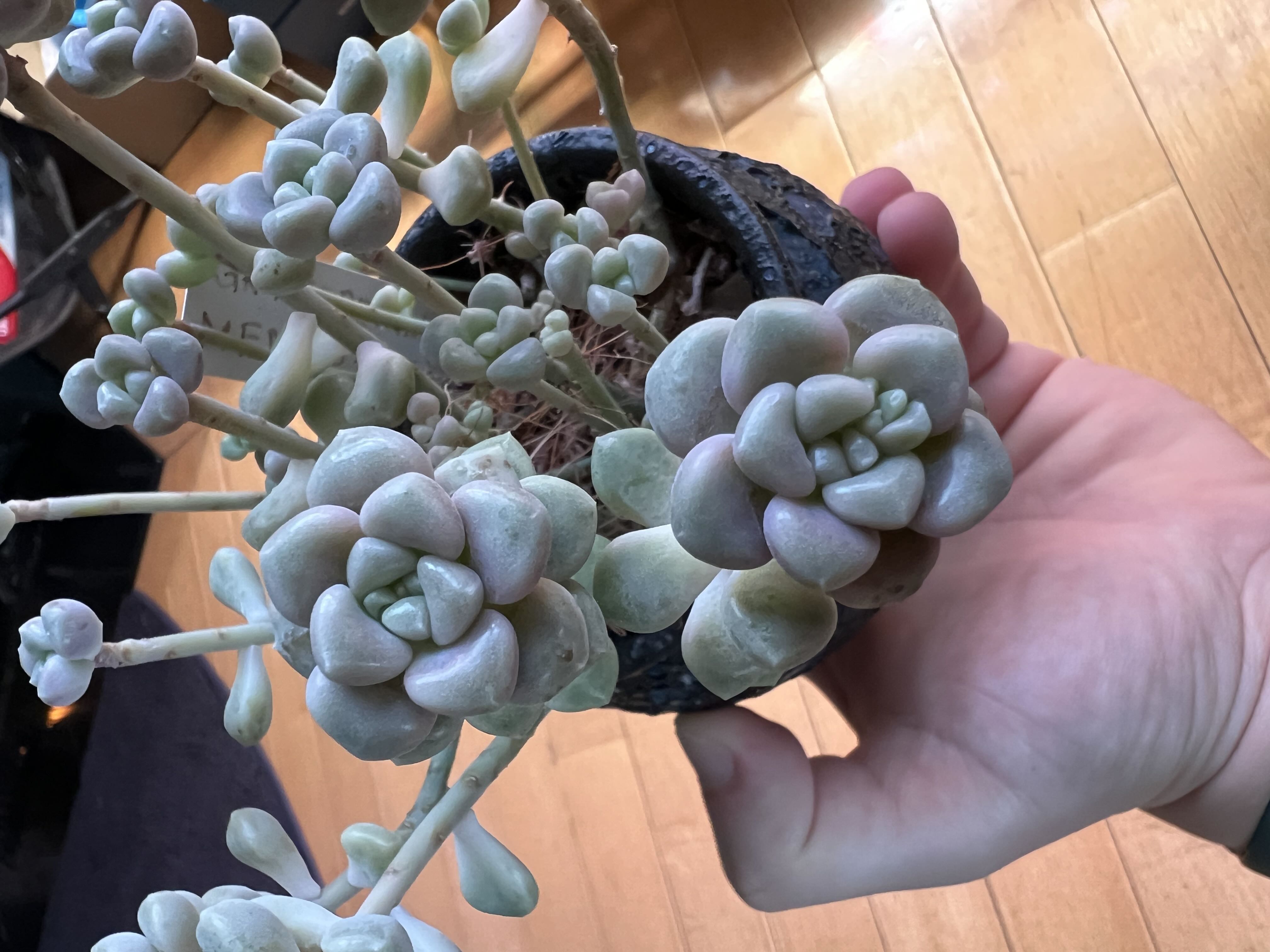 Photo from the post