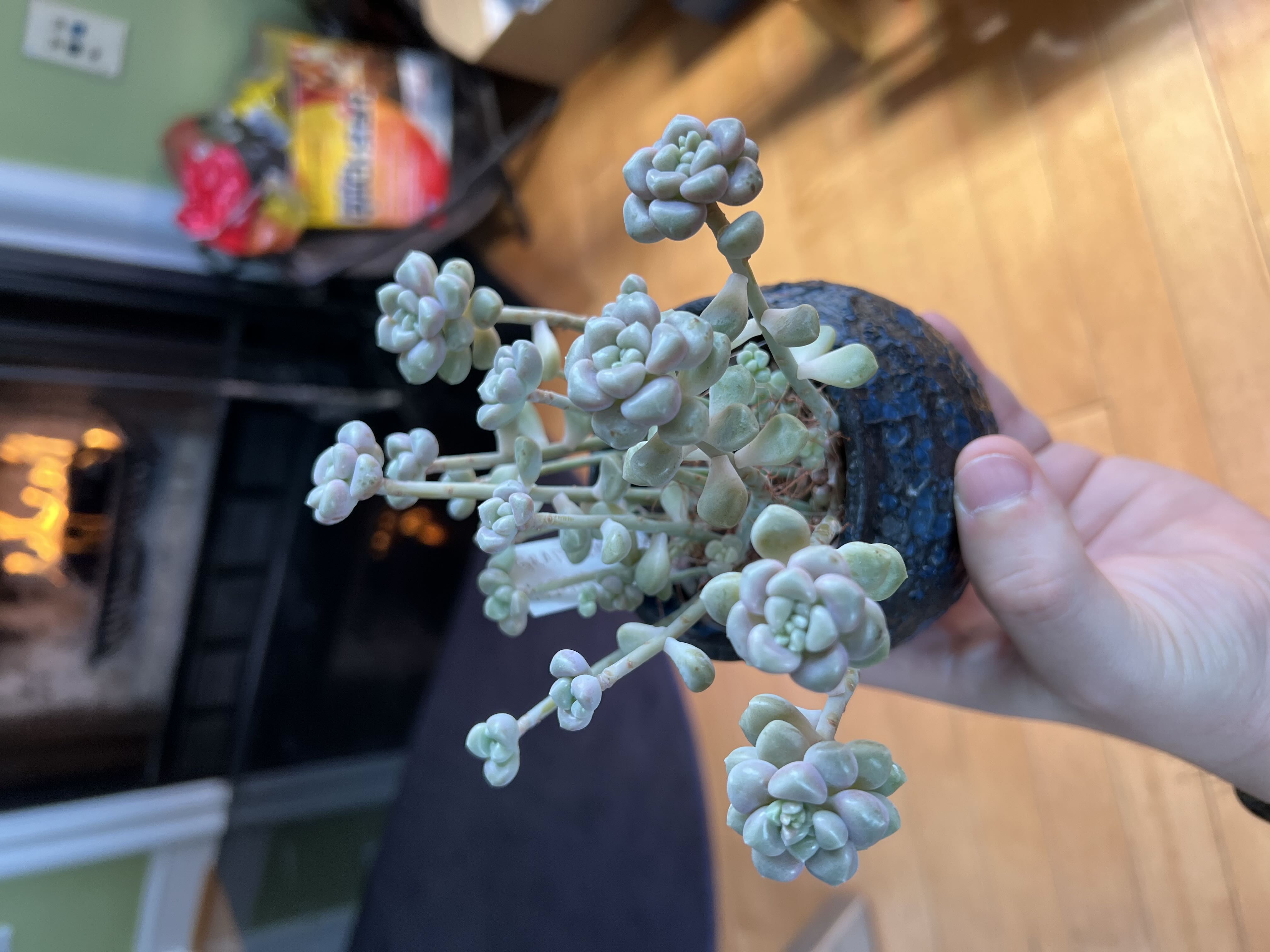 Photo from the post