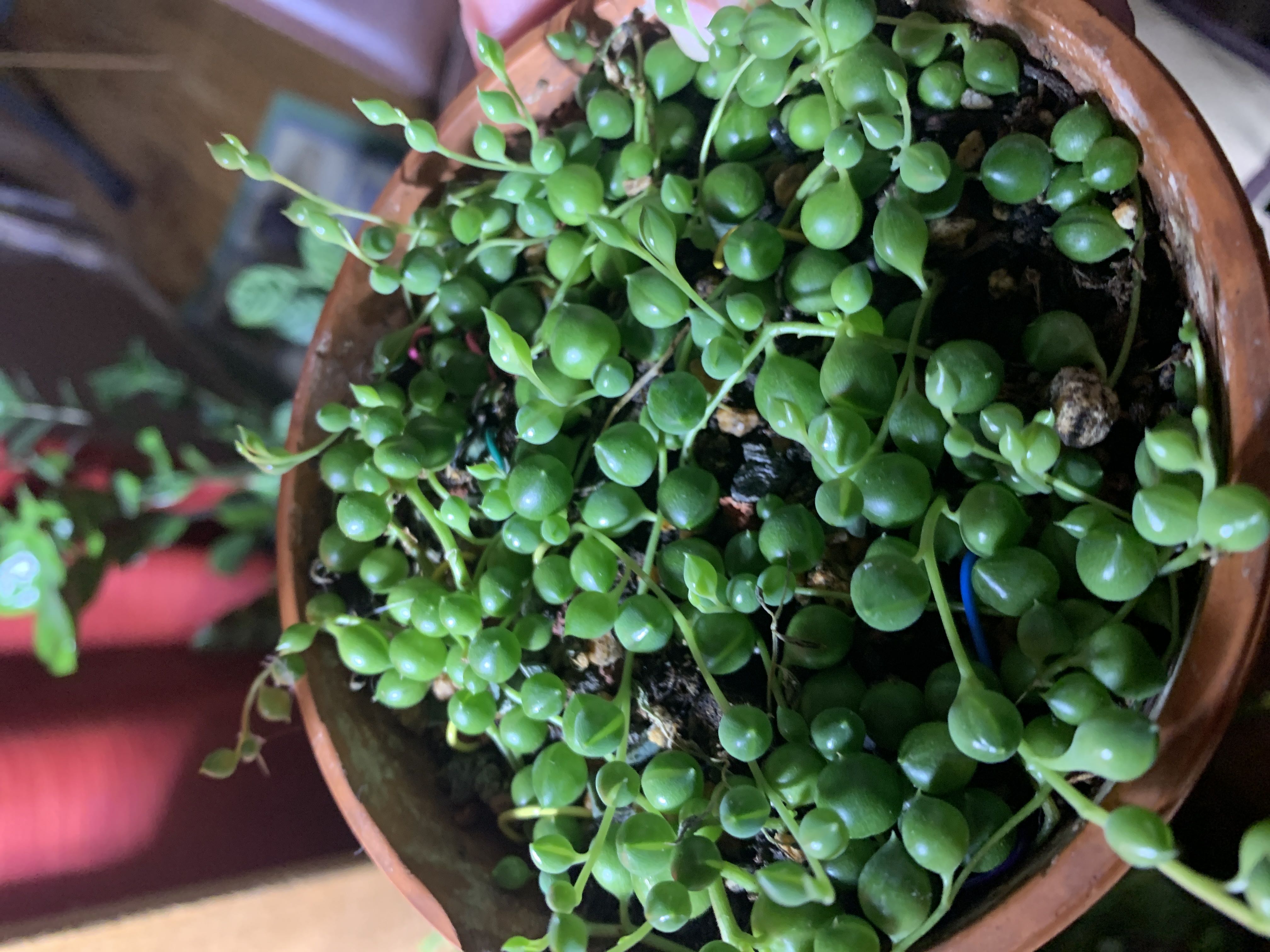 Photo from the post