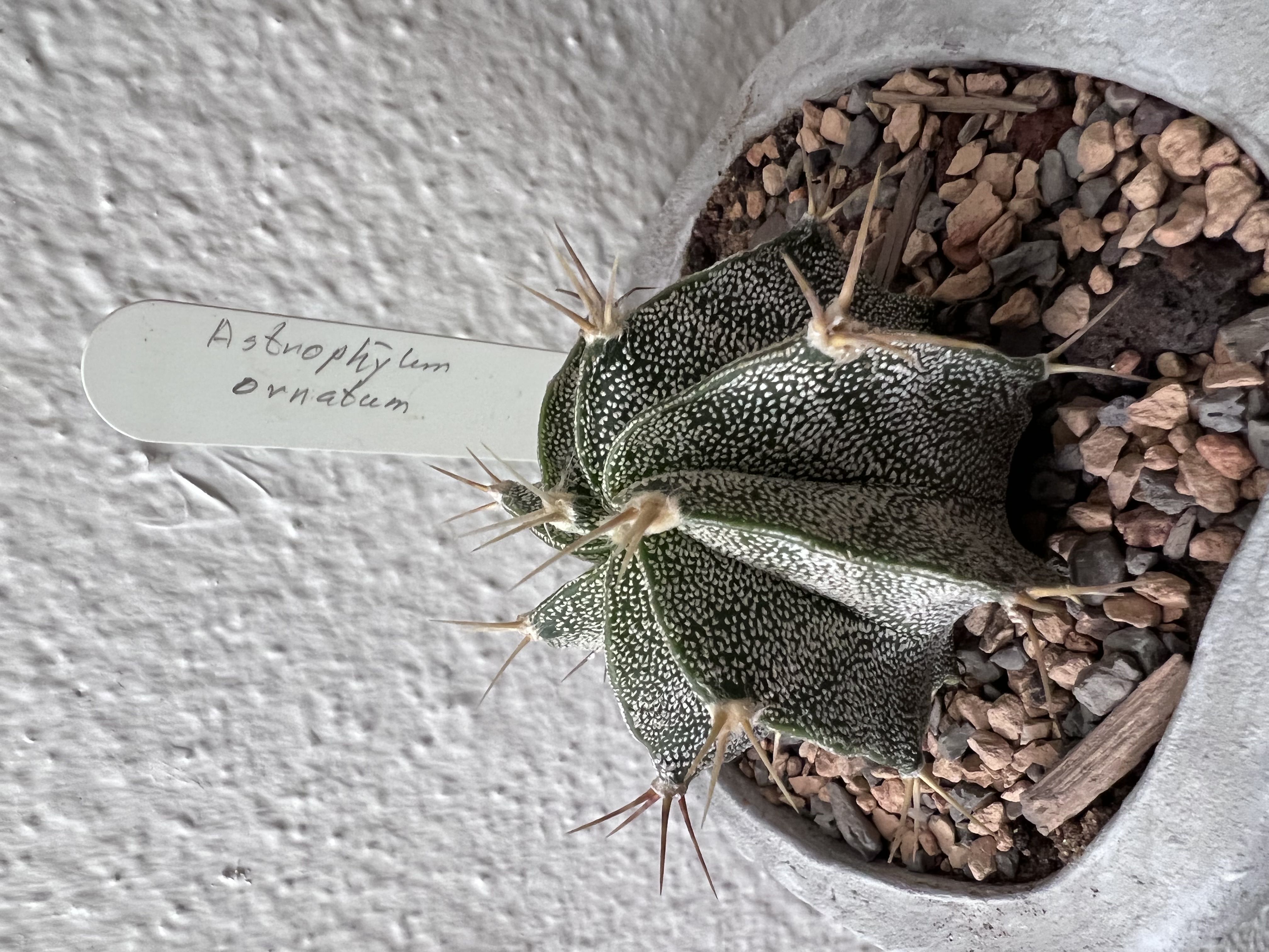 Photo from the post
