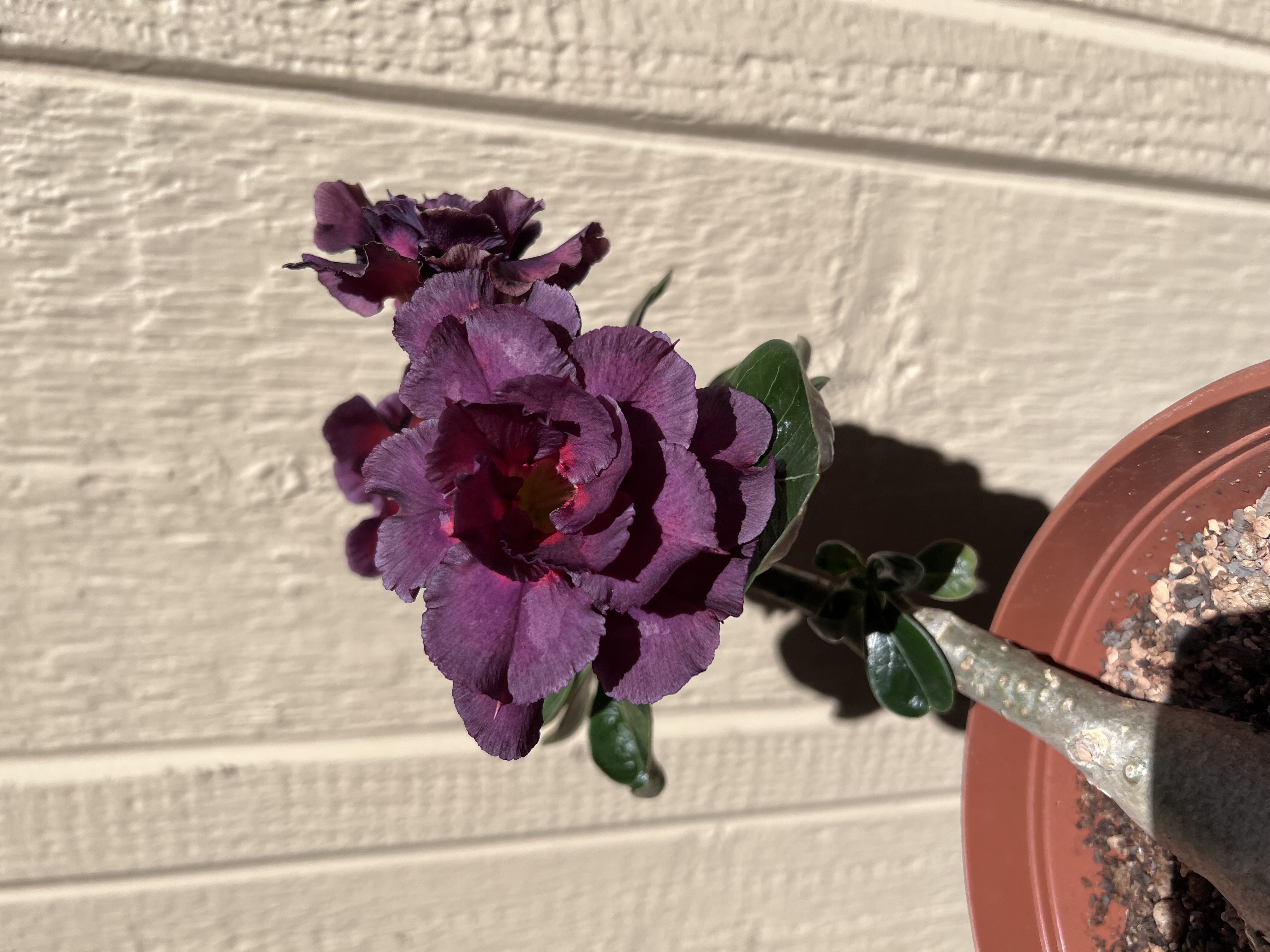 Photo from the post