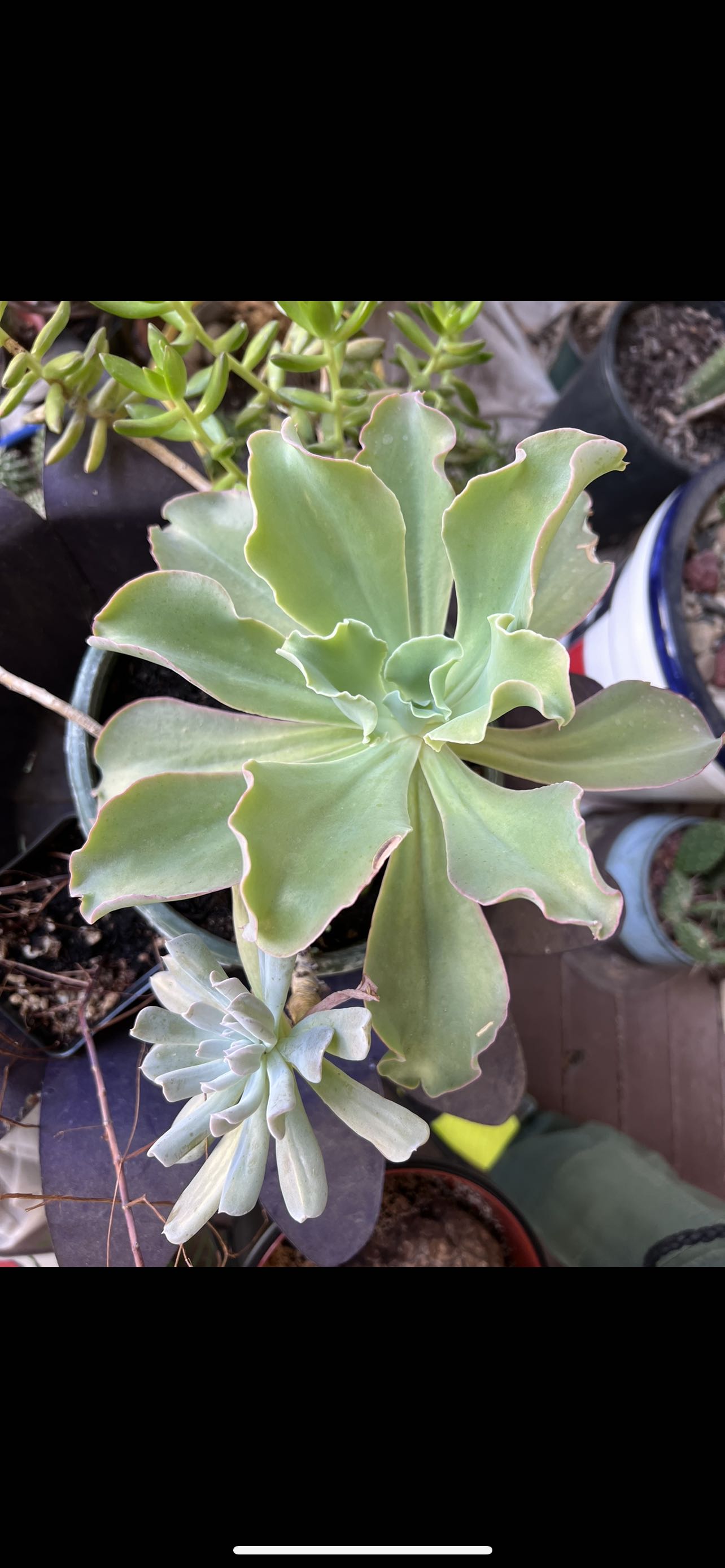 Photo from the post
