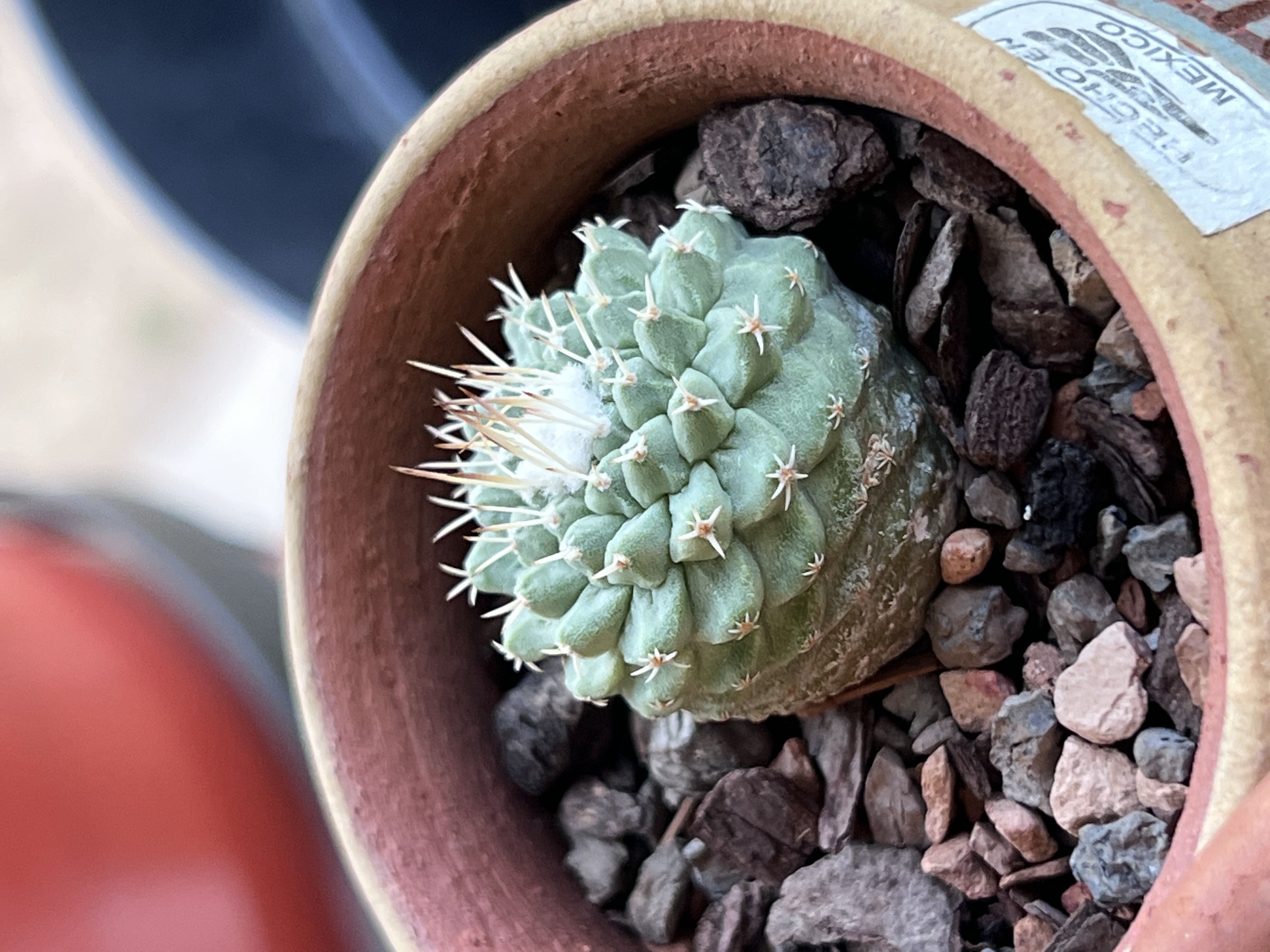 Photo from the post