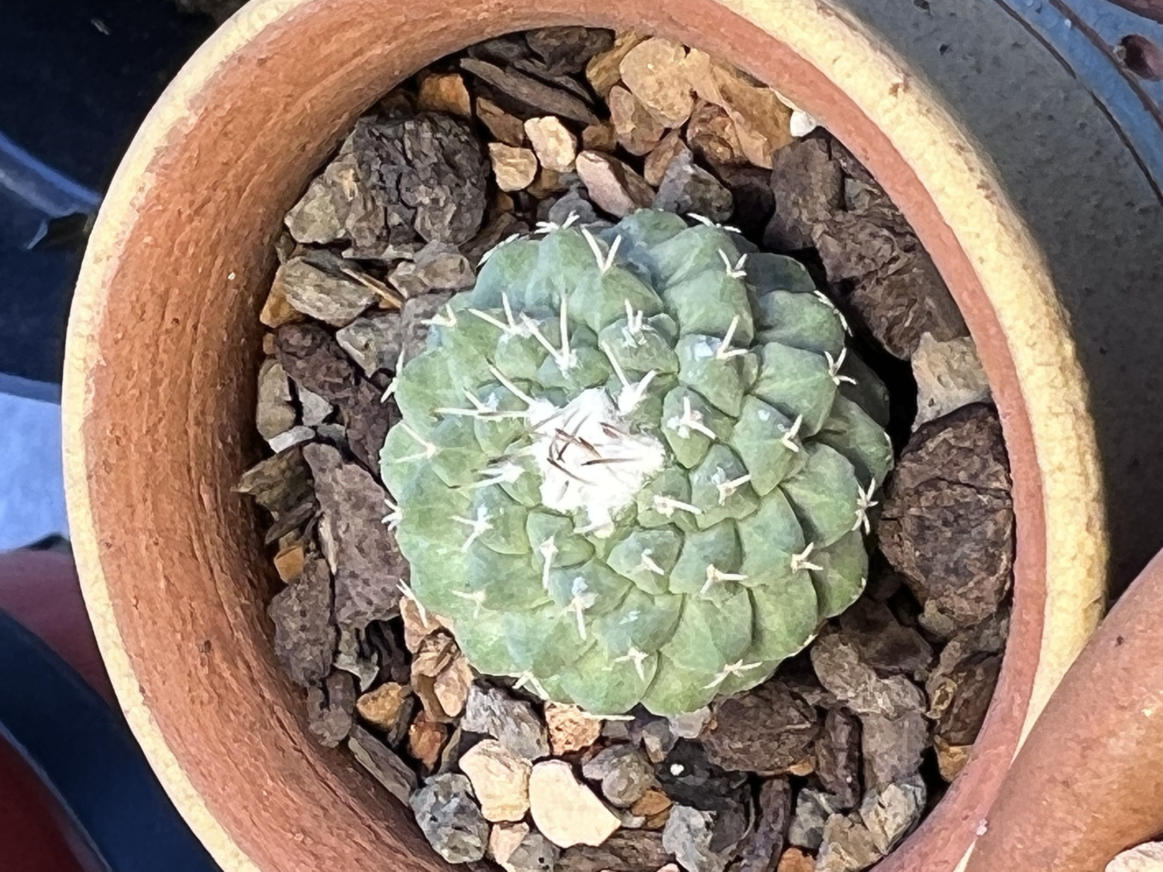 Photo from the post