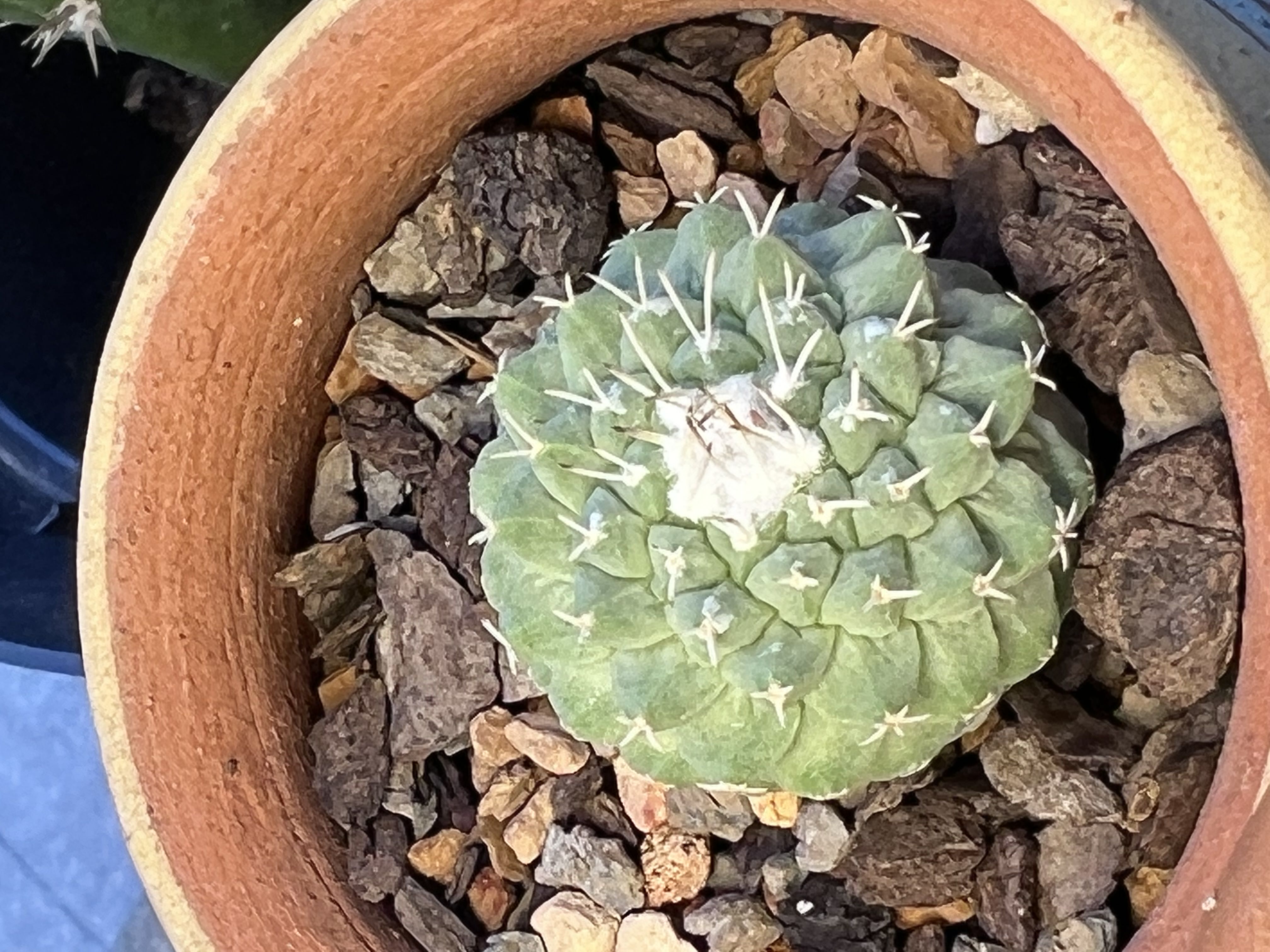 Photo from the post