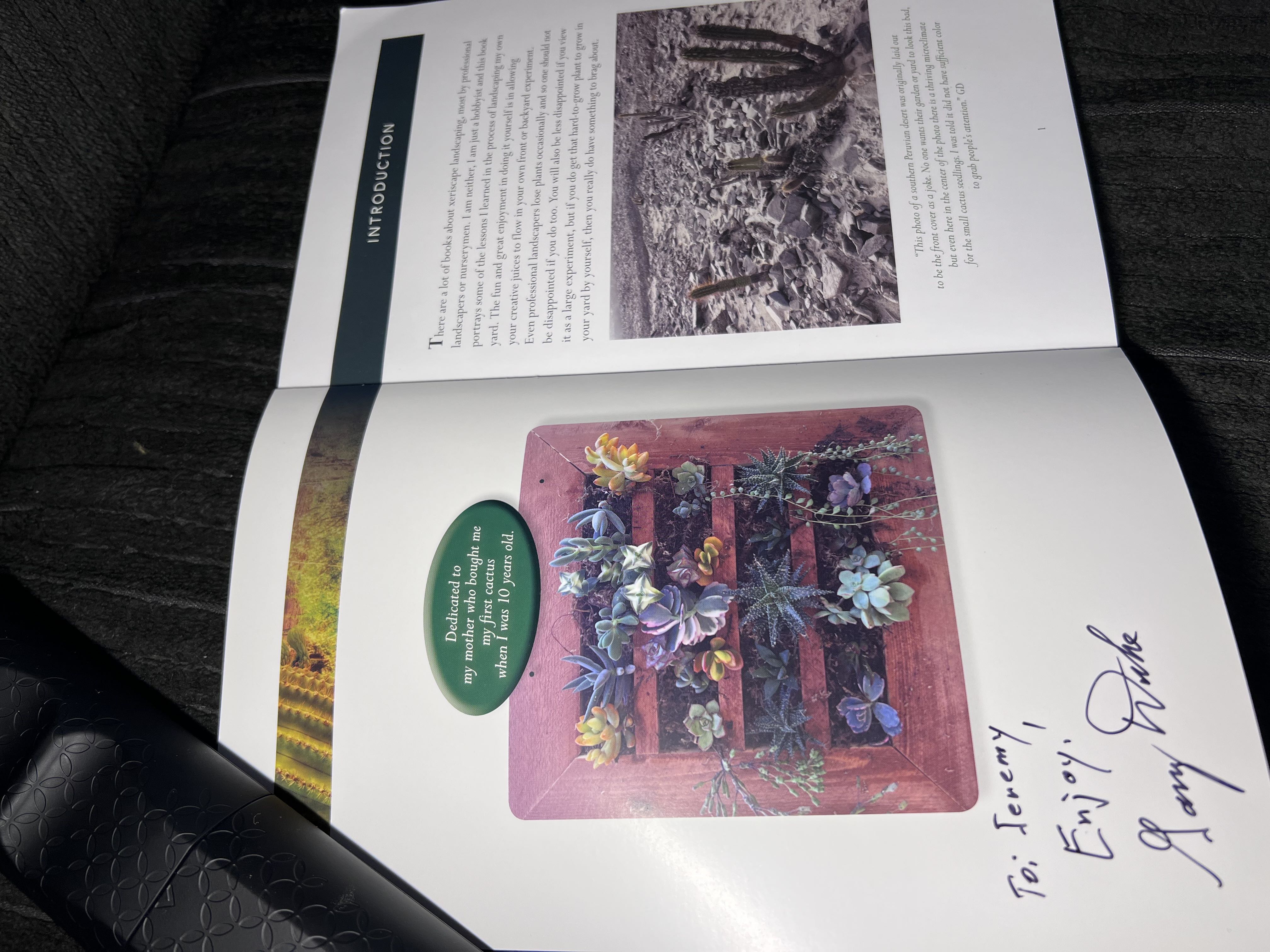 Photo from the post