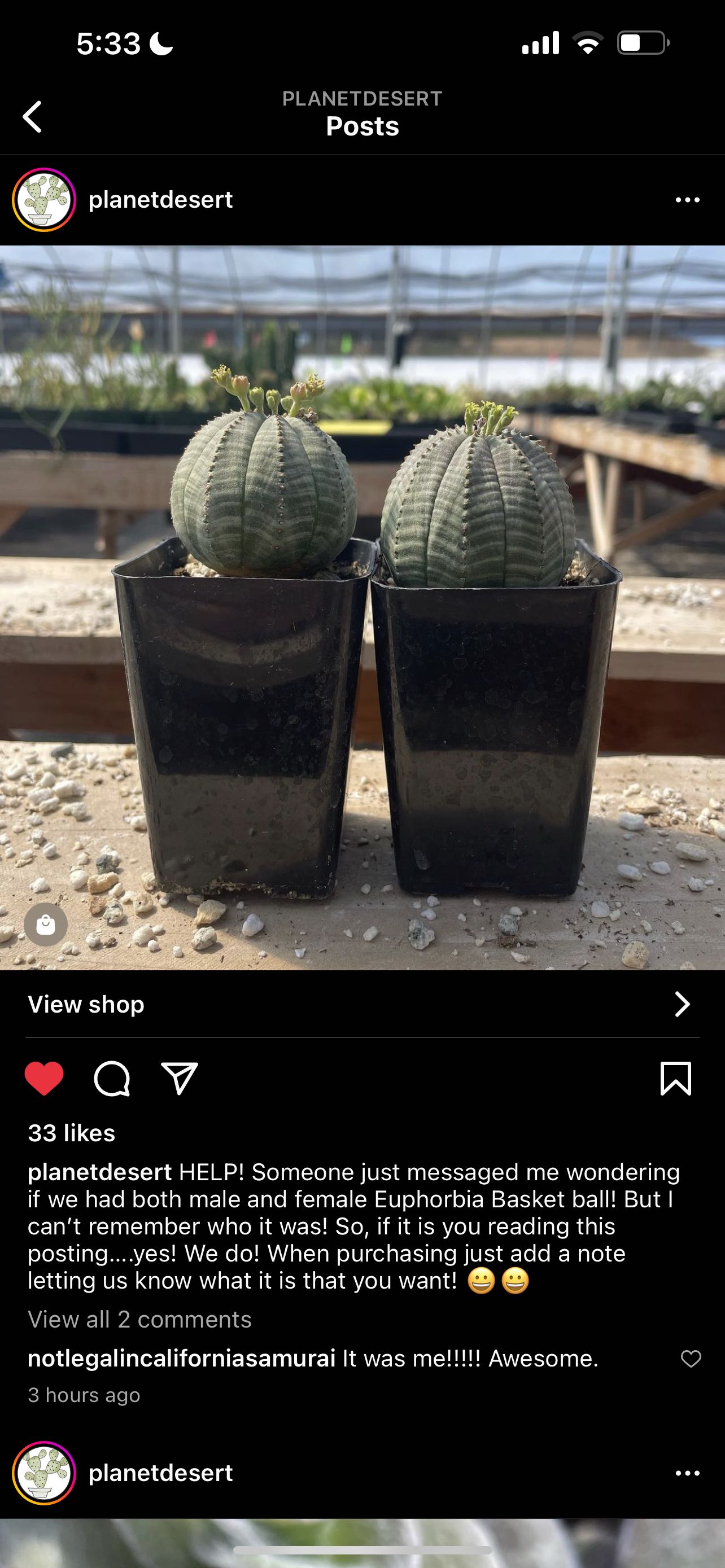 Photo from the post