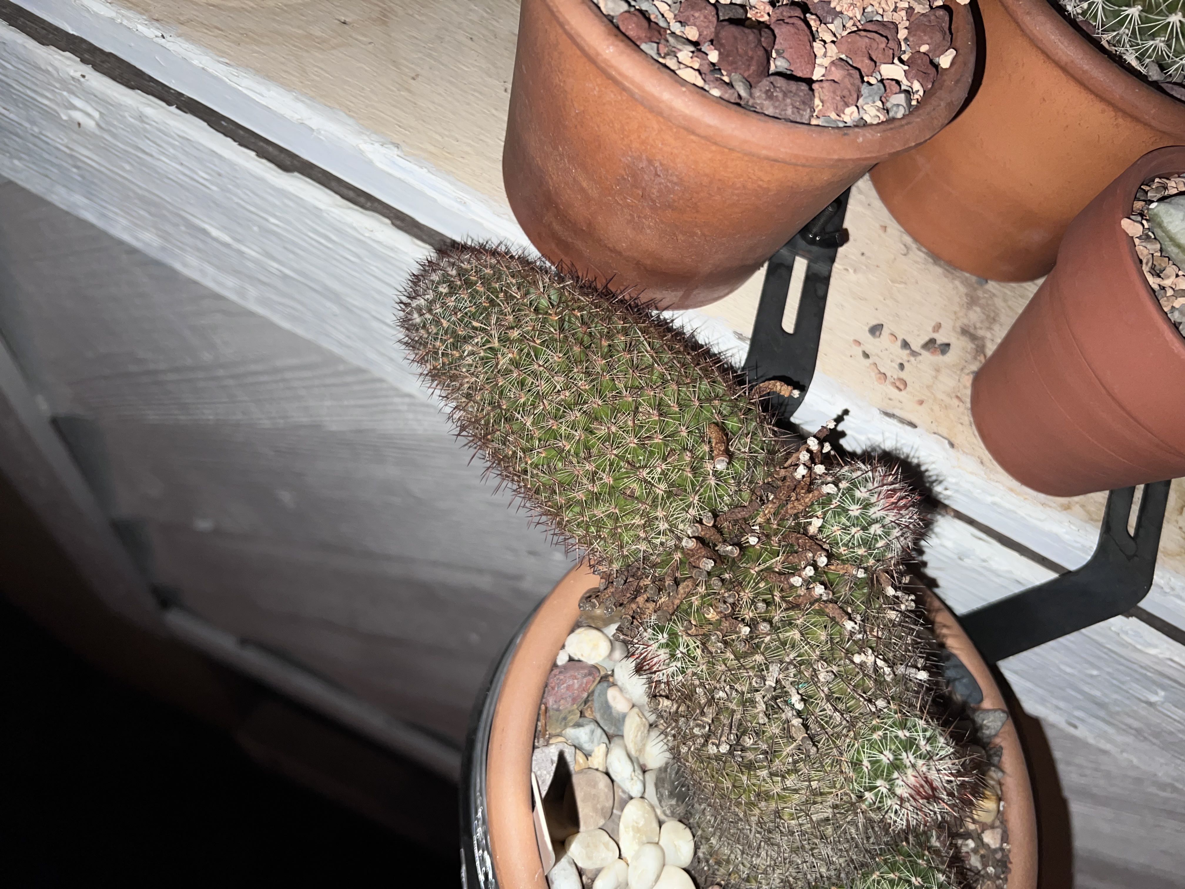Photo from the post