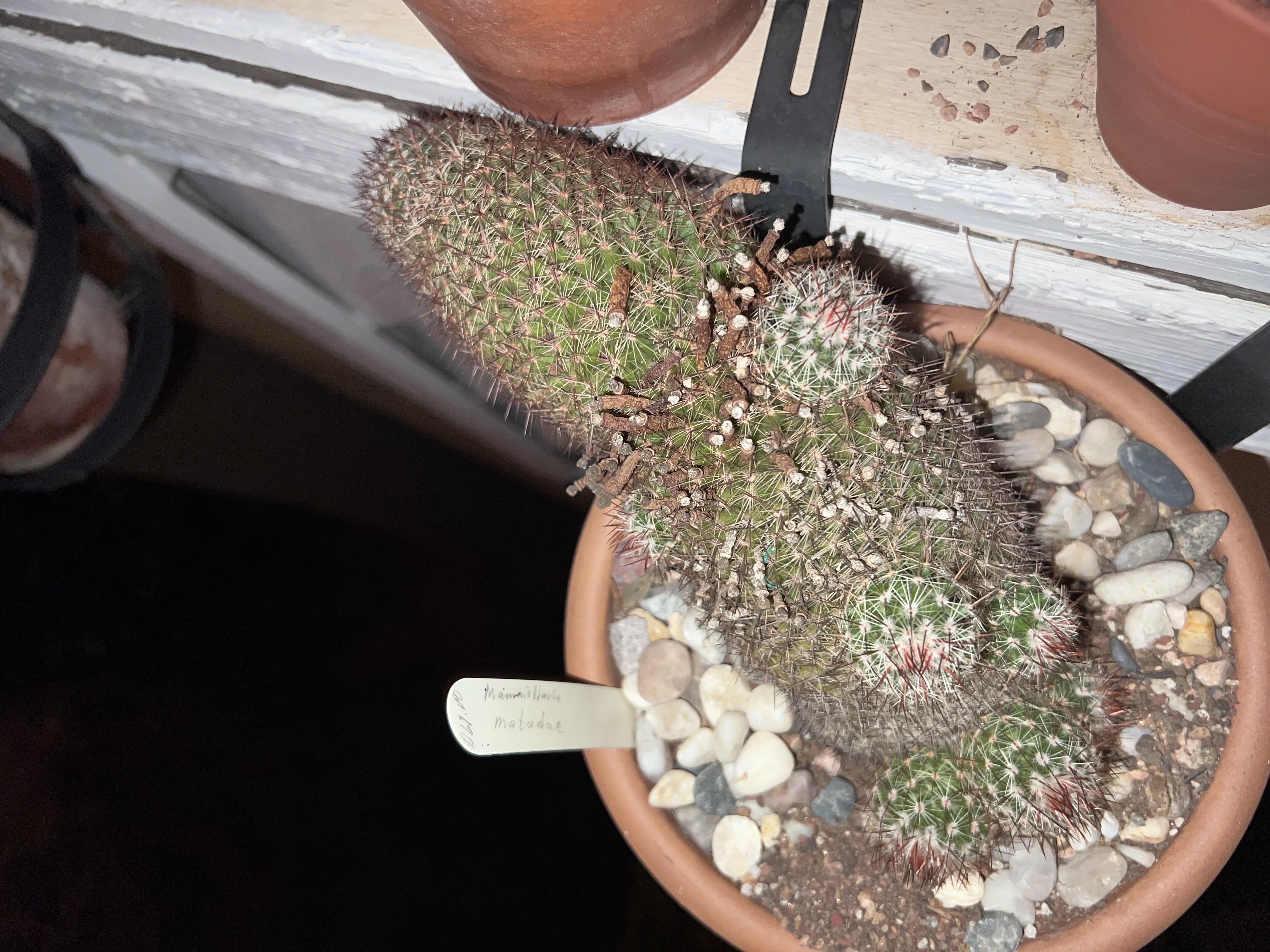 Photo from the post
