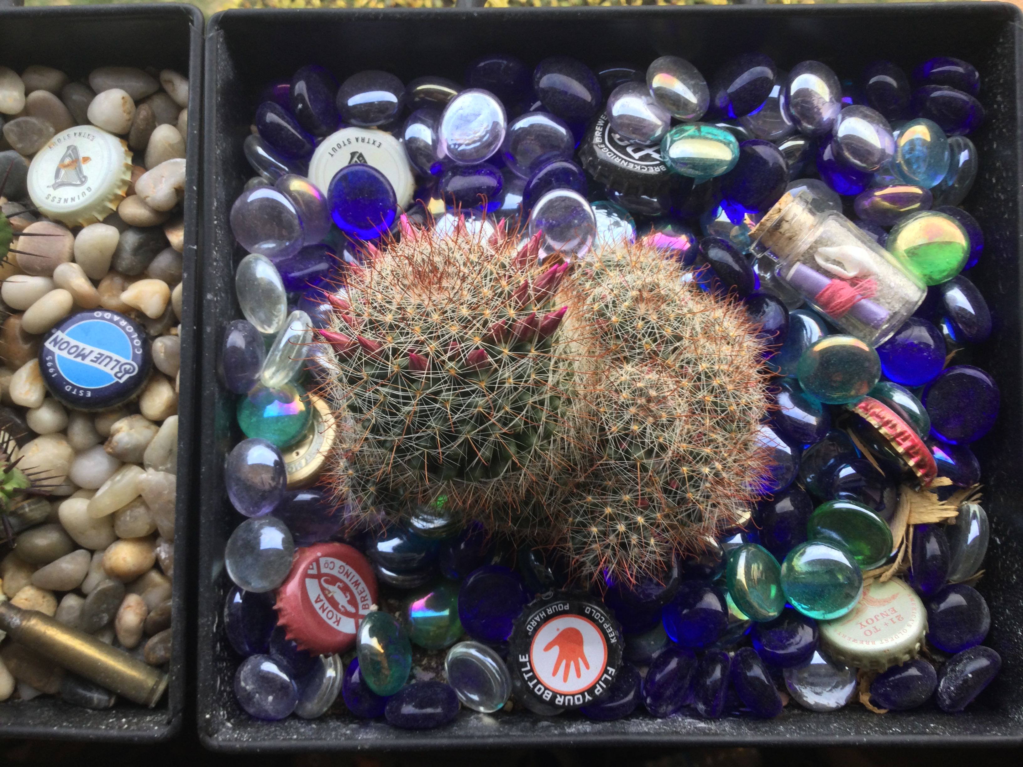 Photo from the post