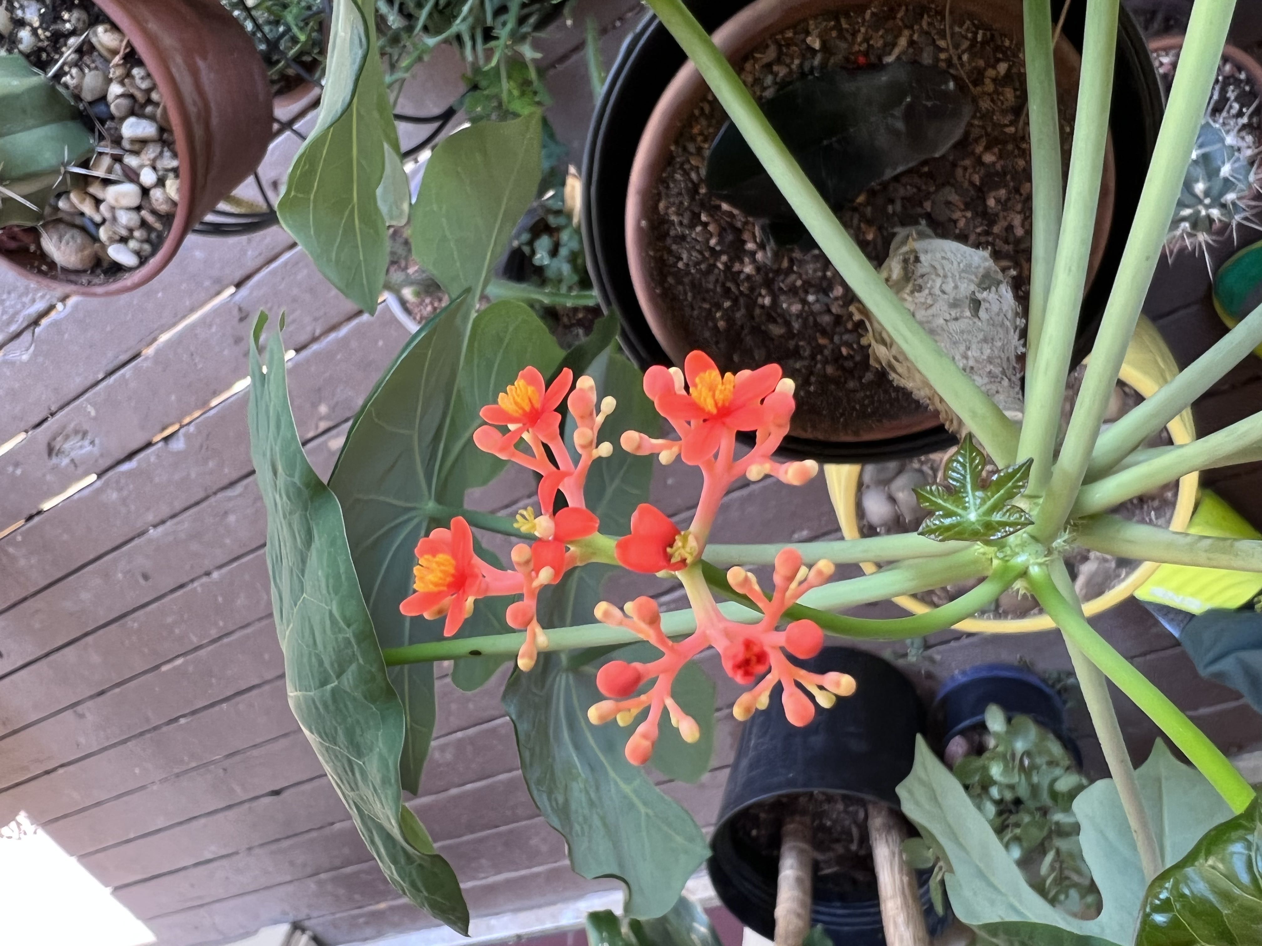 Photo from the post